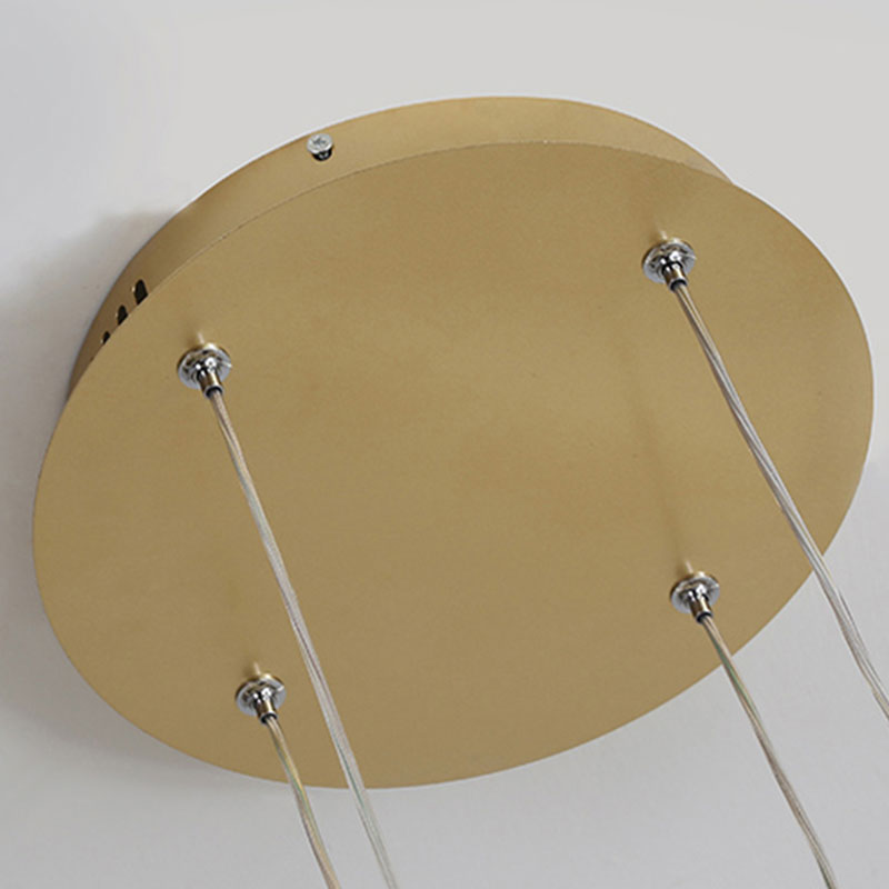 Wiloeyia Ring Pendant Light
