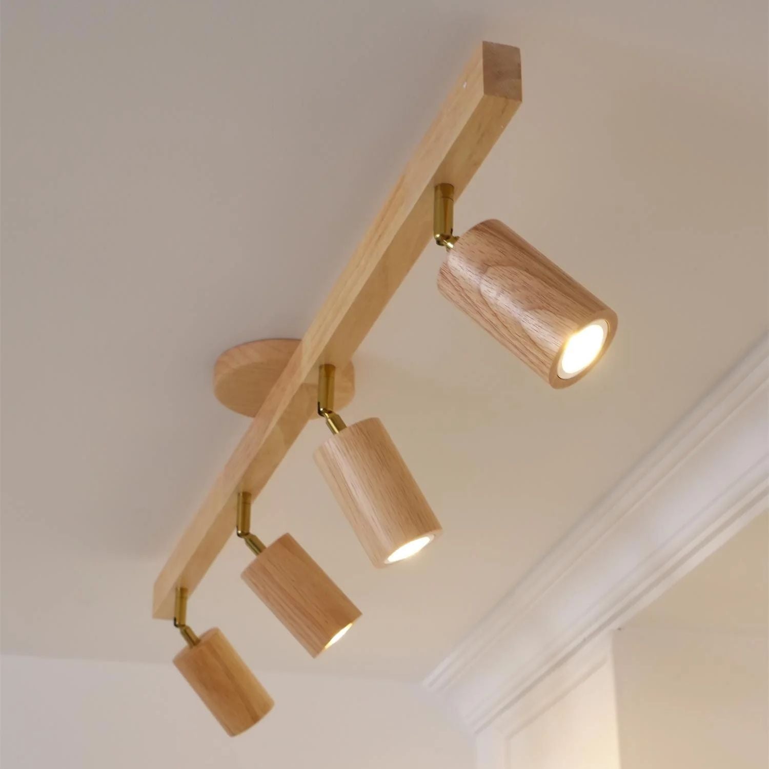 Lorim Track Ceiling Light