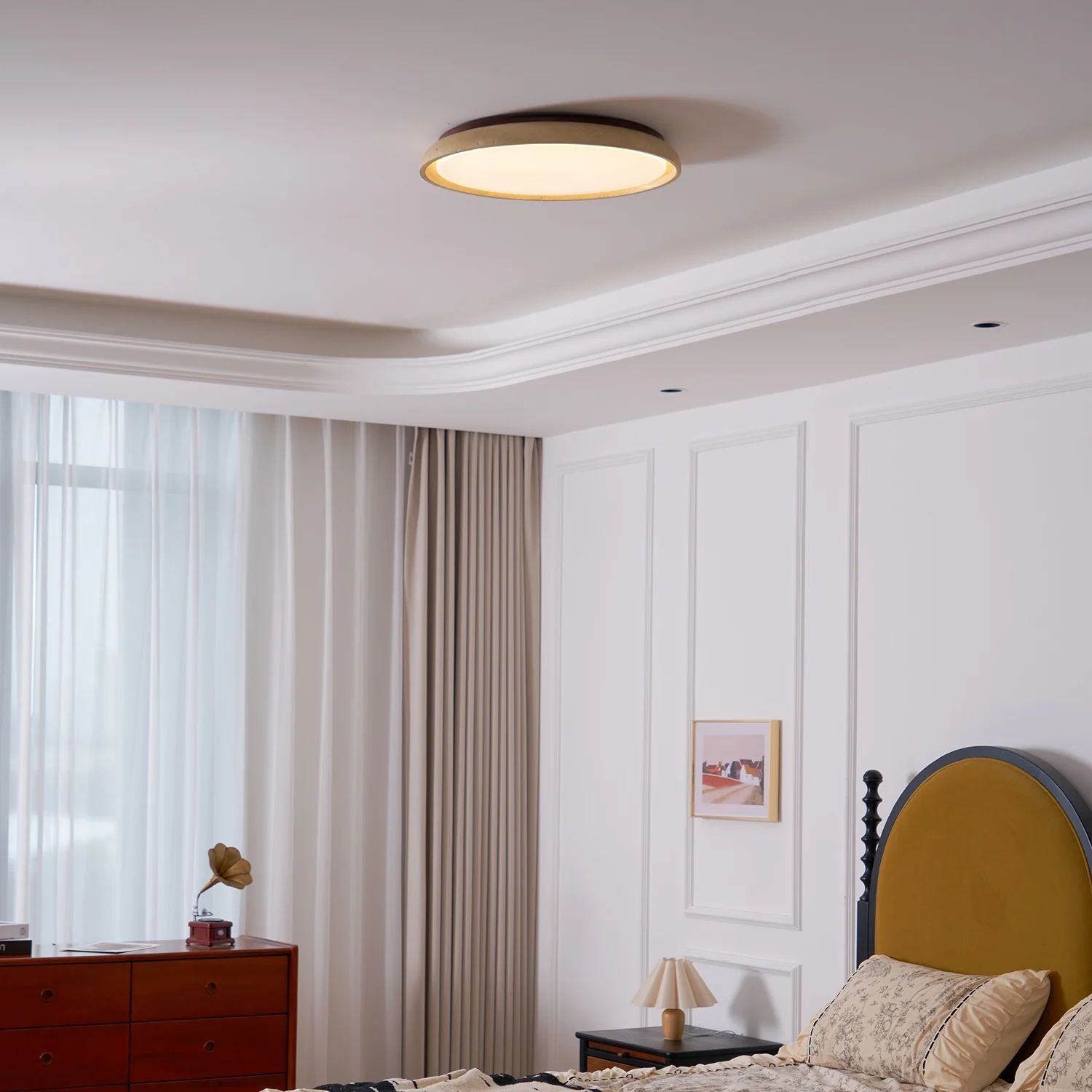 Demoreya Ceiling Light