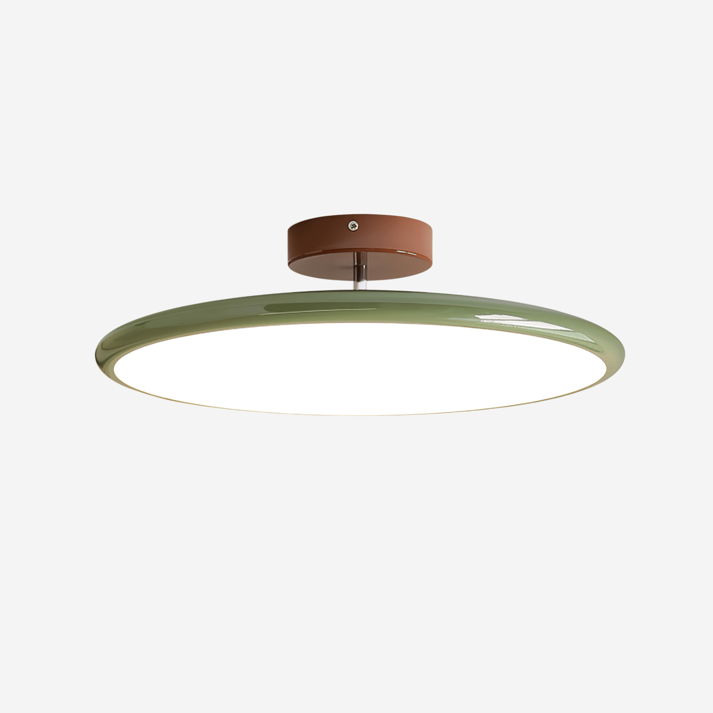 Rioas Adjustable Ceiling Light