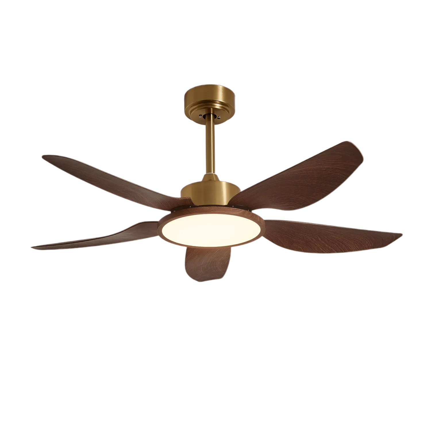 Haleno Ceiling Fan Light
