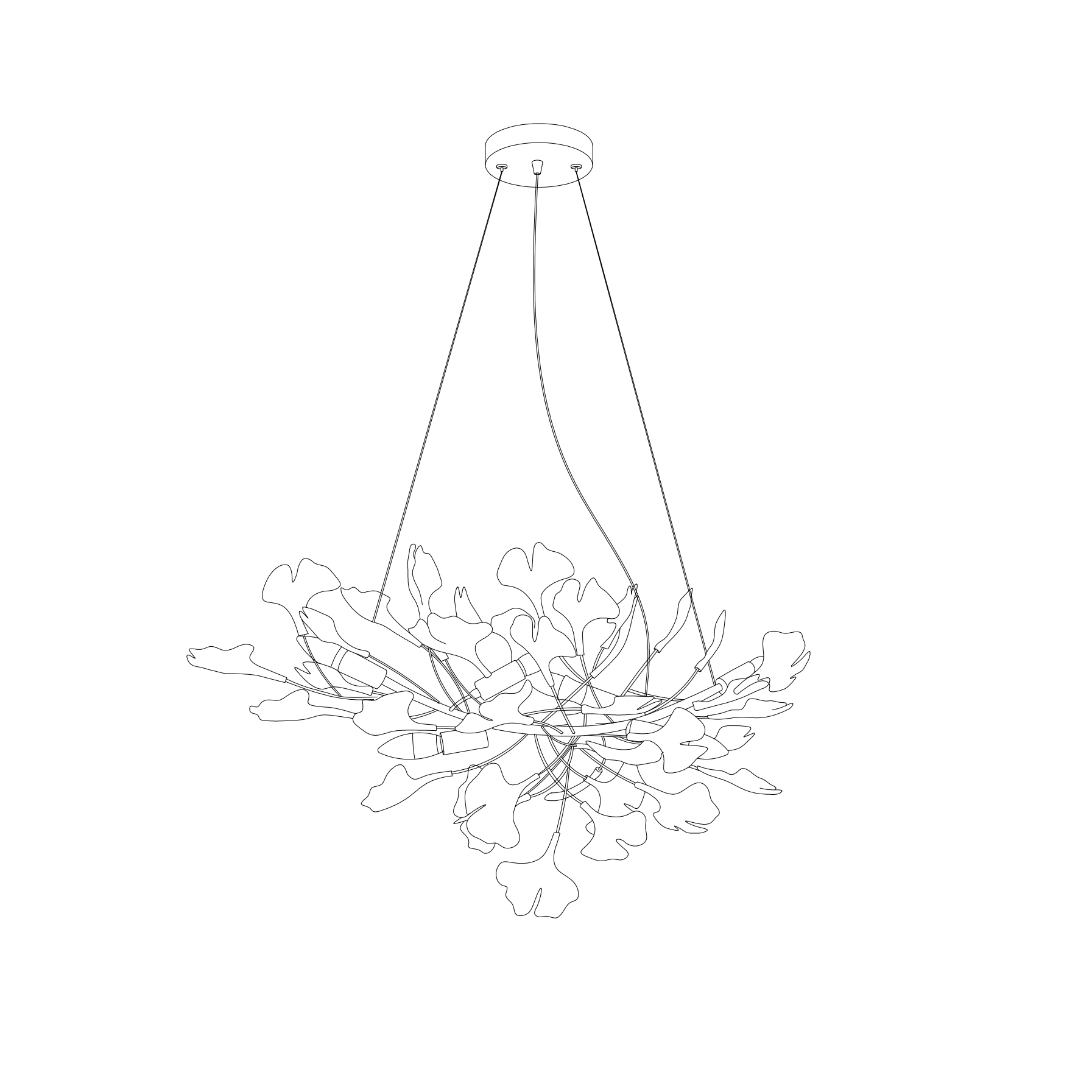 Paxor Chandelier