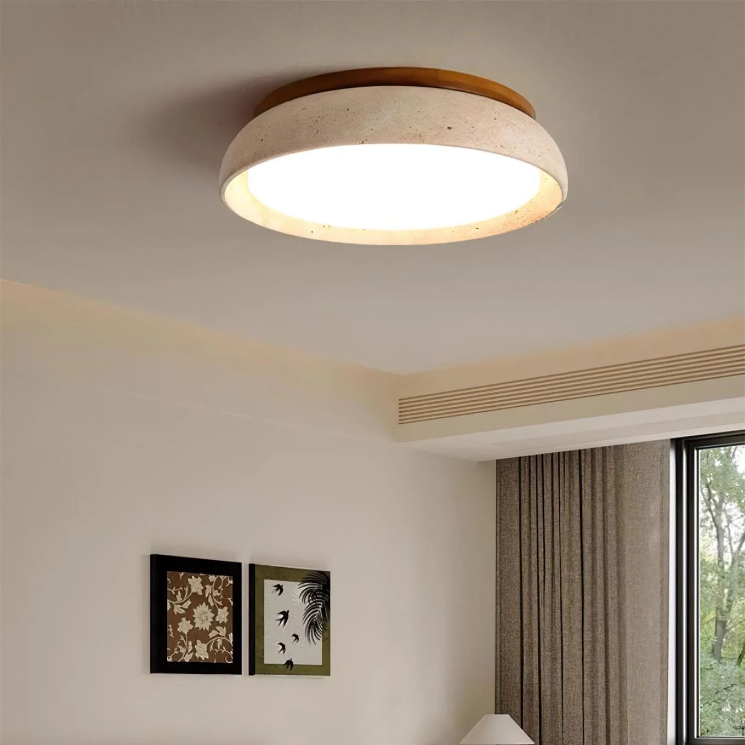 Demoreya Ceiling Light