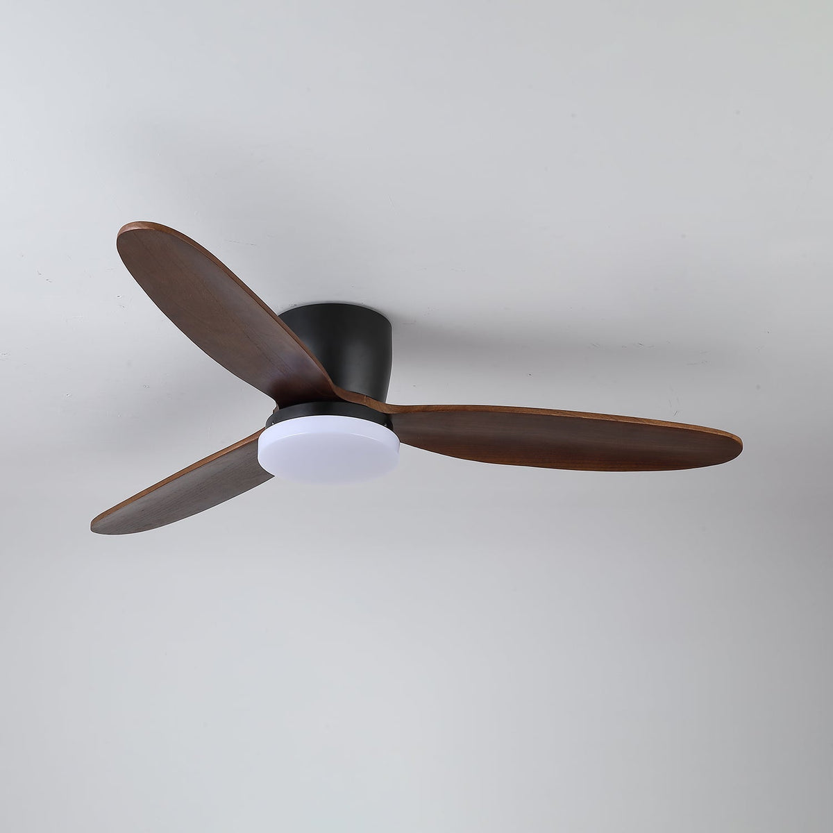 Evenlor Ceiling Fan Light