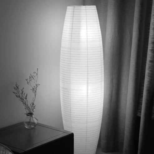 Doveven Minimalist Floor Lamp
