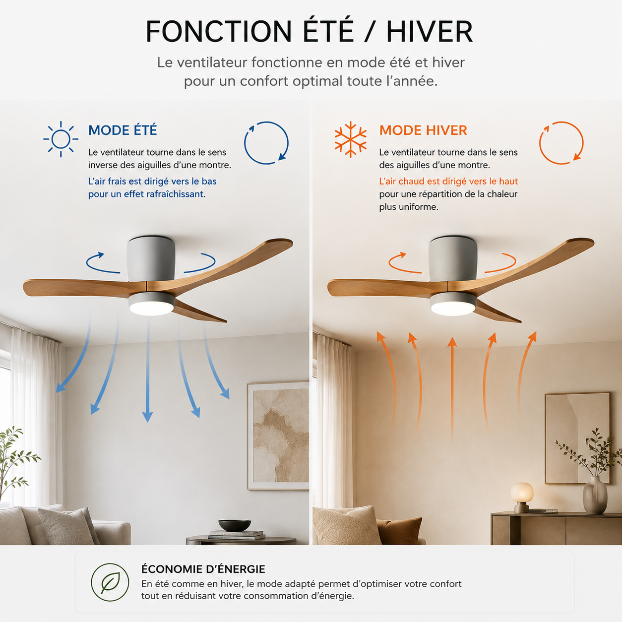 Solissa Ceiling Fan Light