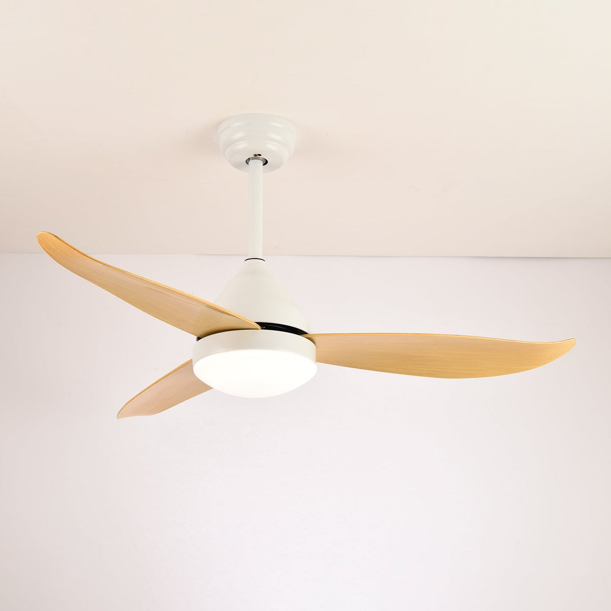 Emil Ceiling Fan Light