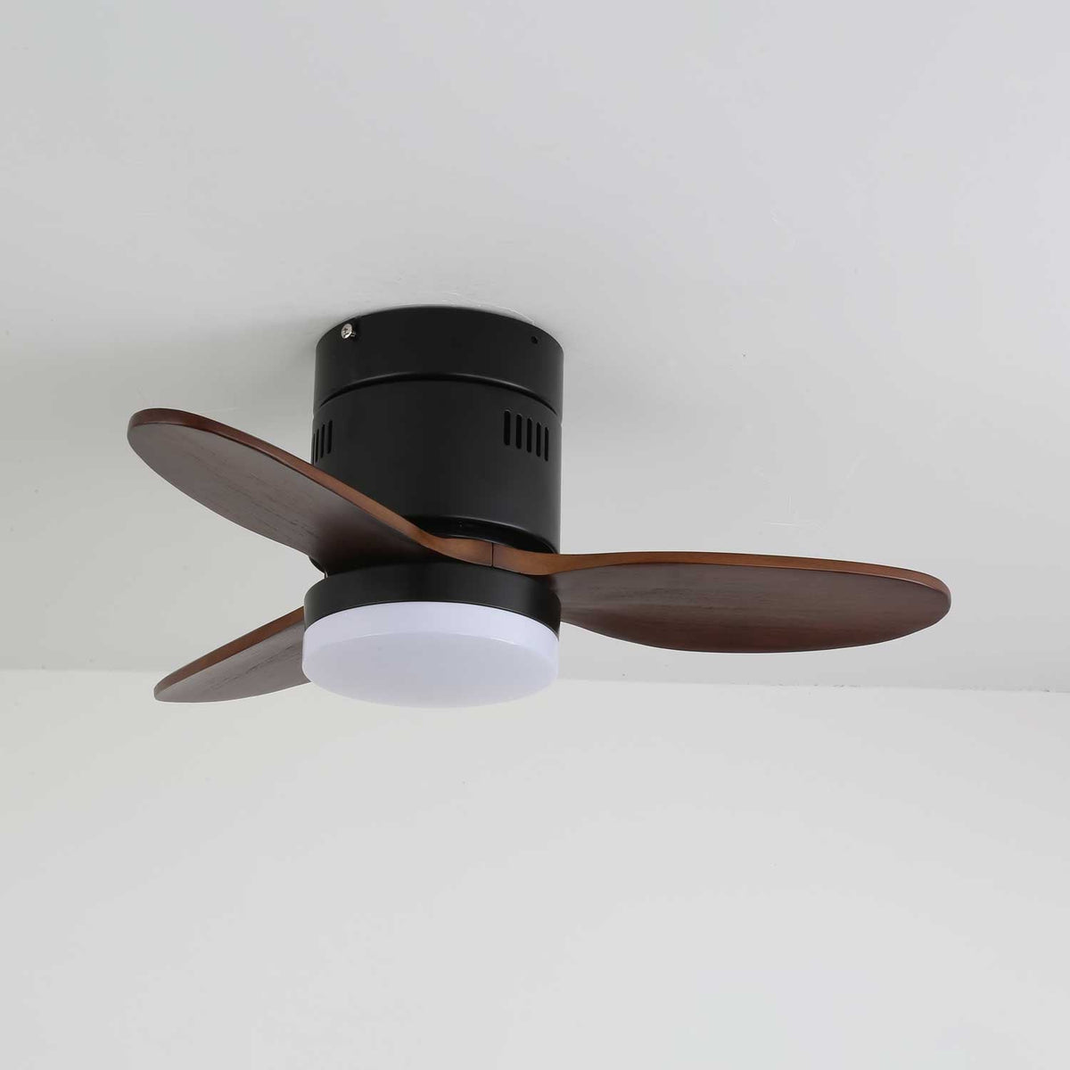 Viroayan Ceiling Fan Light