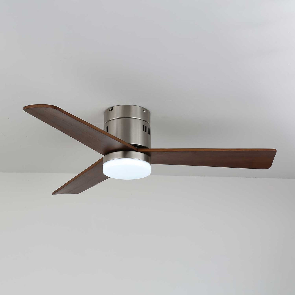 Viroayan Ceiling Fan Light