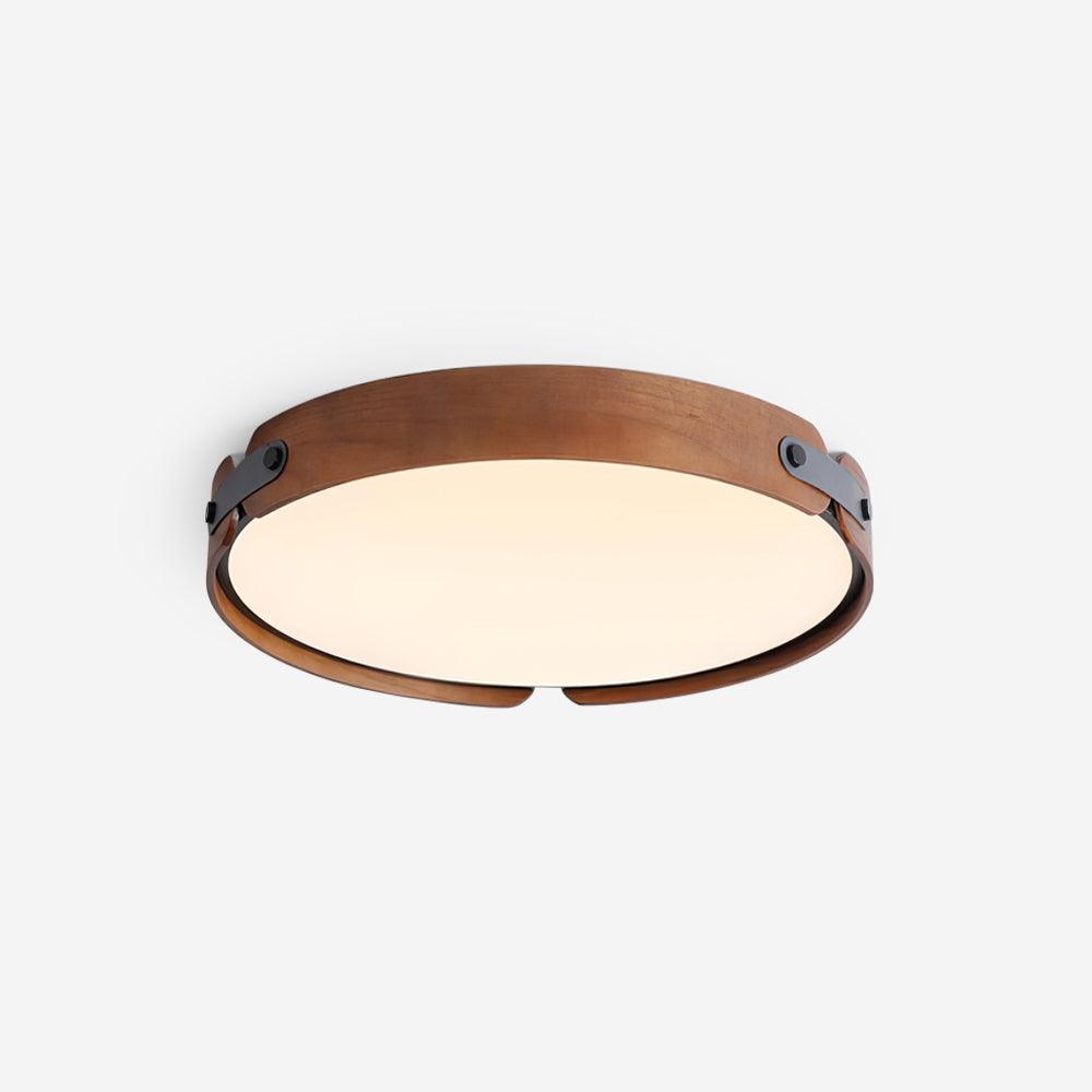 Renlenor Ceiling Light