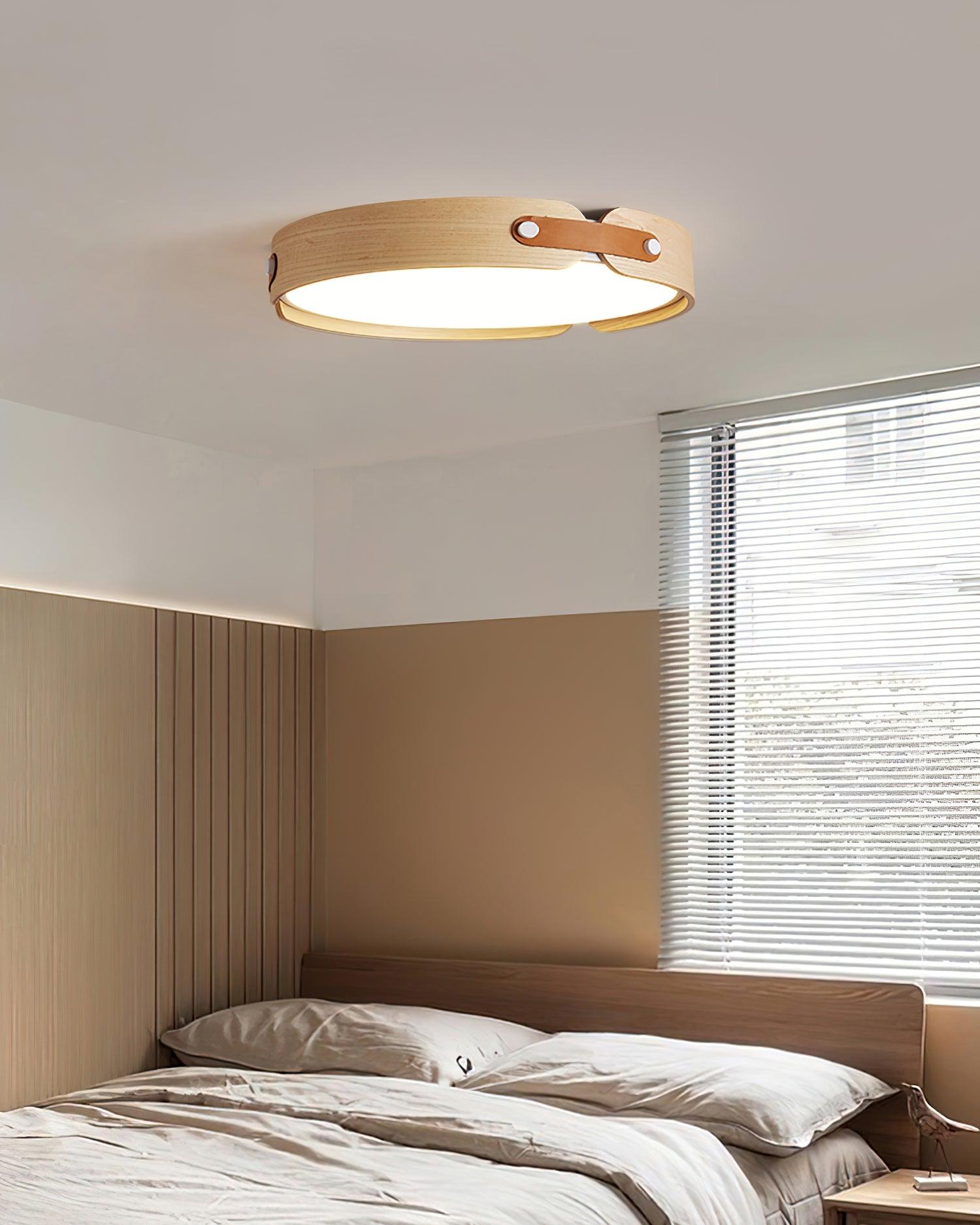 Renlenor Ceiling Light