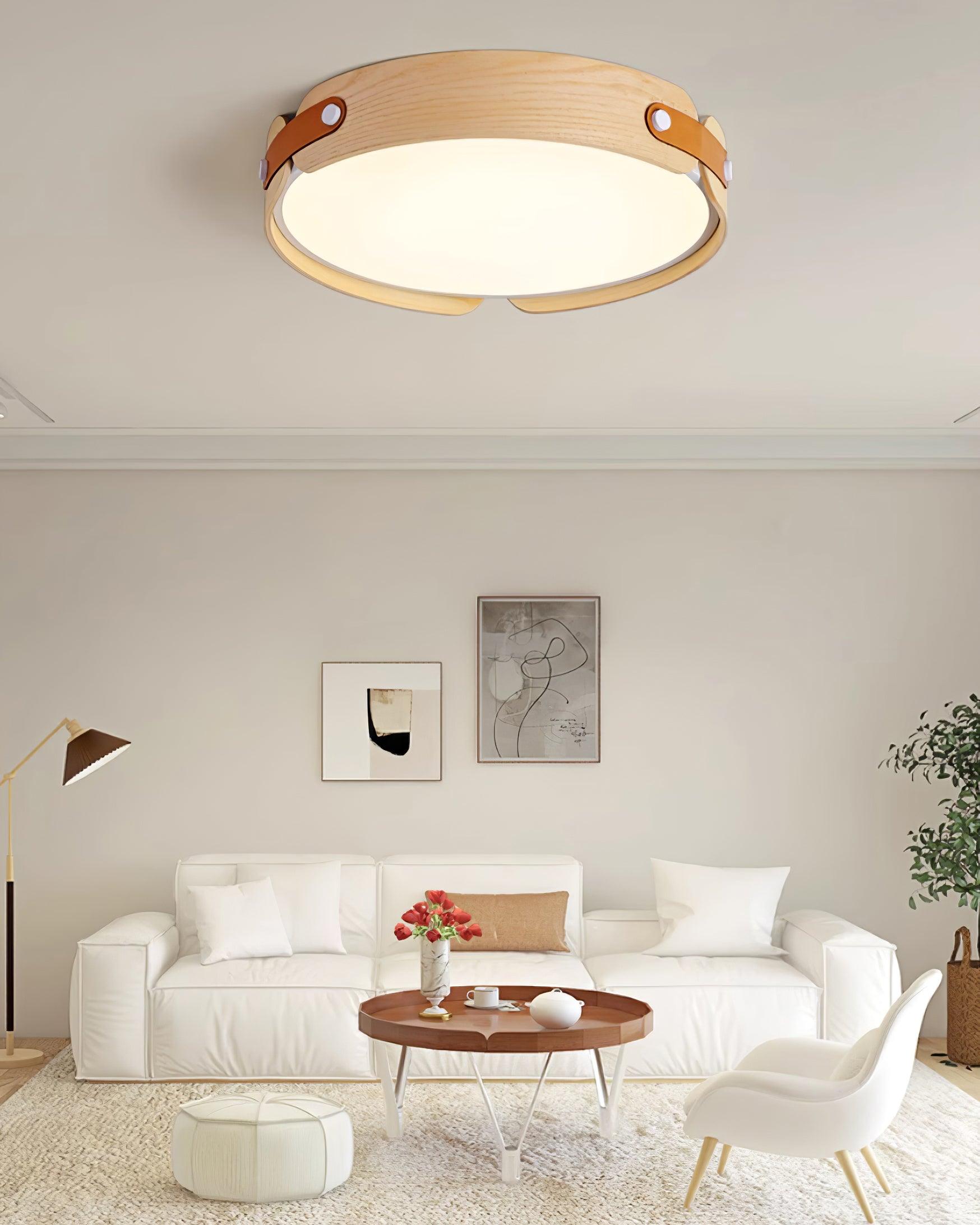 Renlenor Ceiling Light