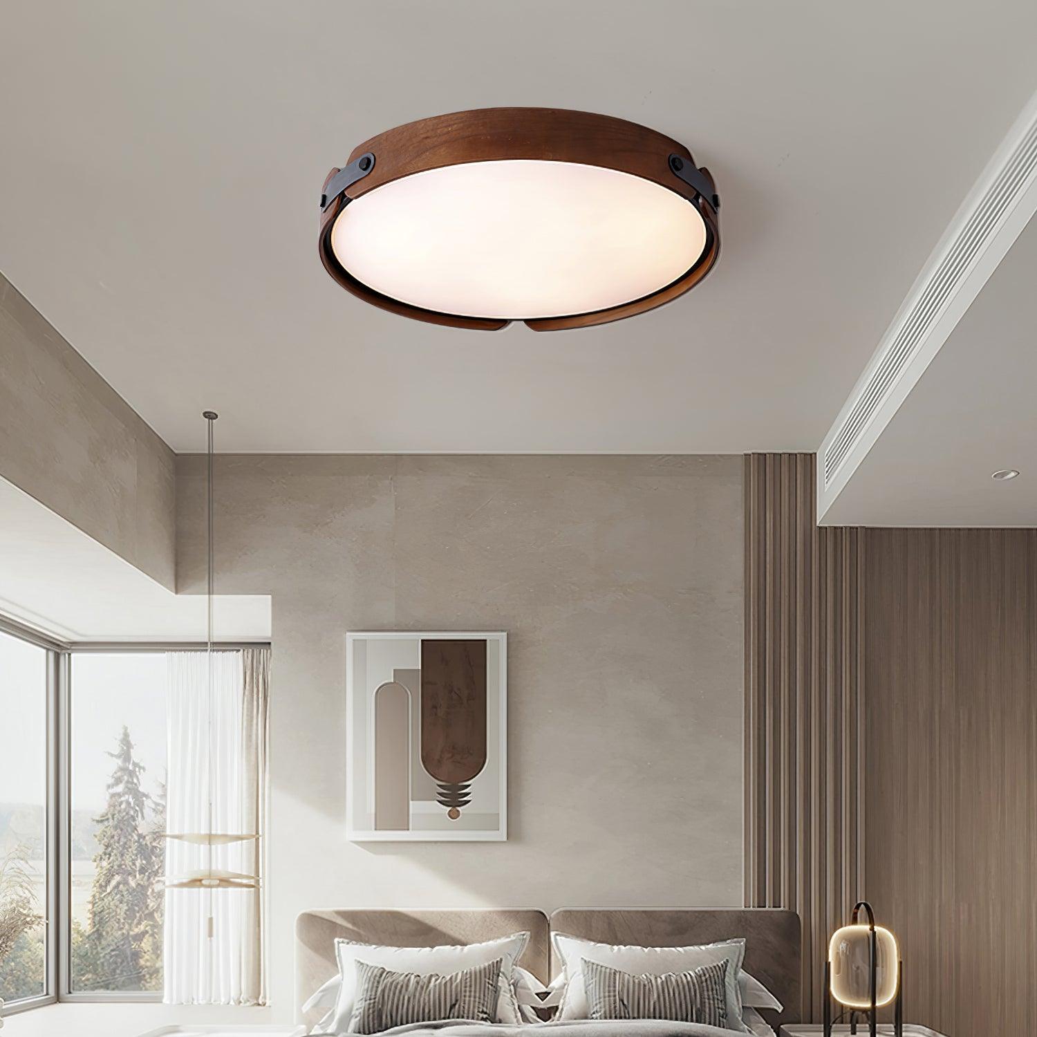 Renlenor Ceiling Light