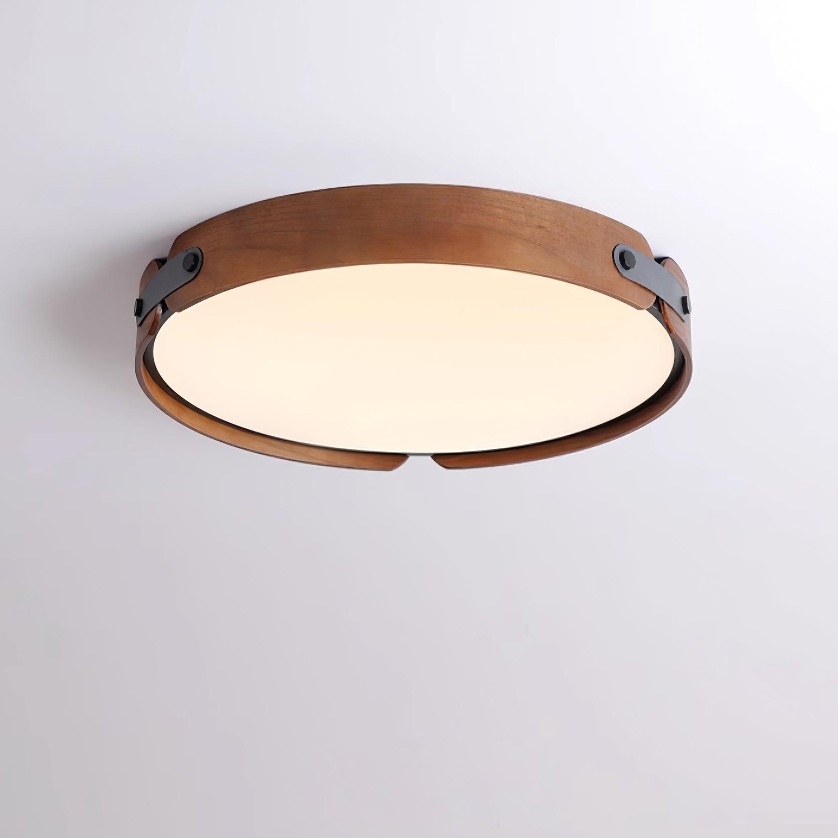 Renlenor Ceiling Light