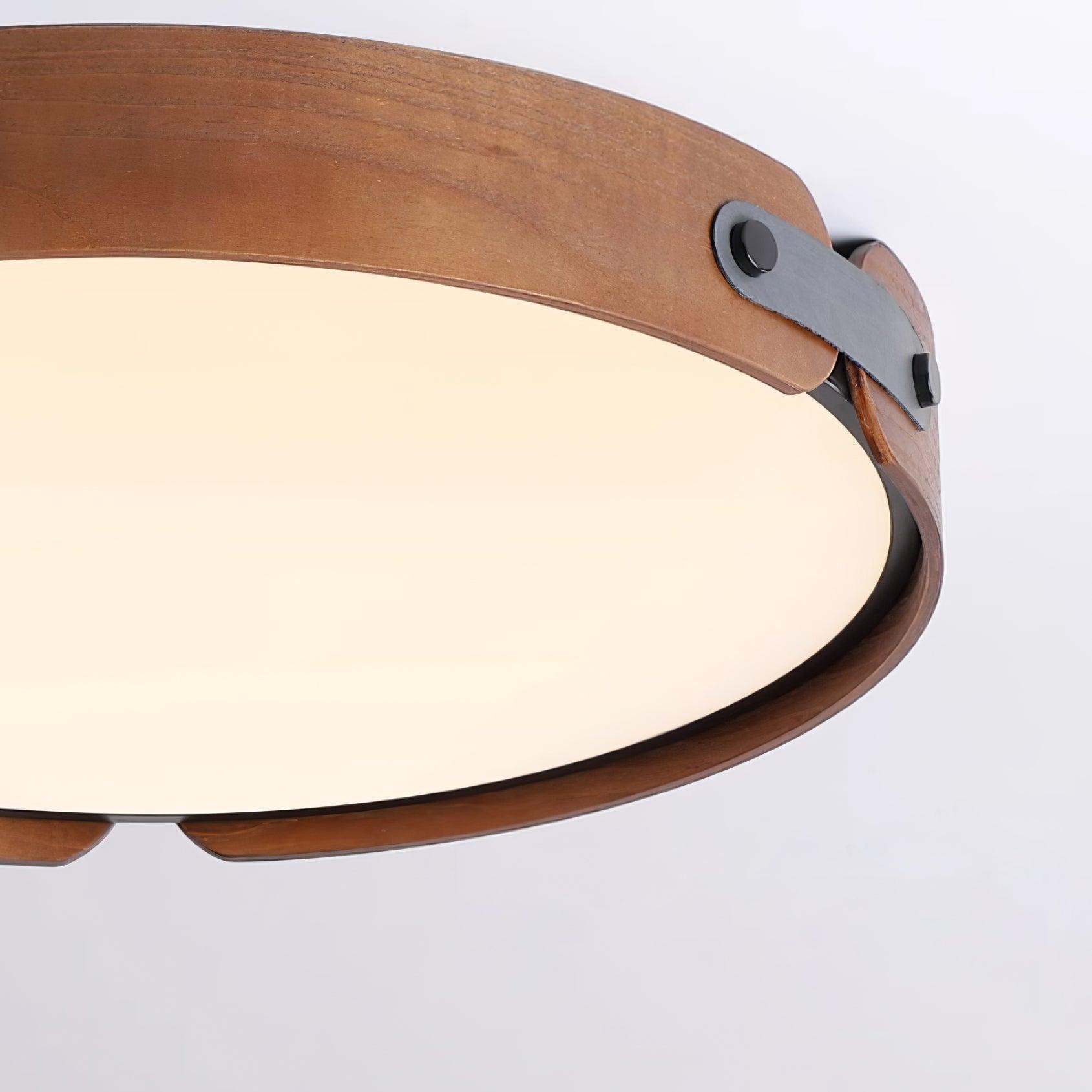 Renlenor Ceiling Light