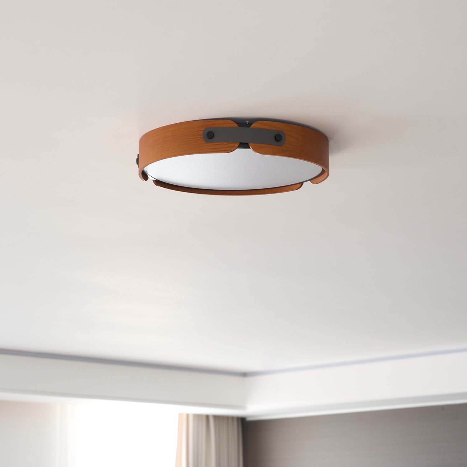 Renlenor Ceiling Light