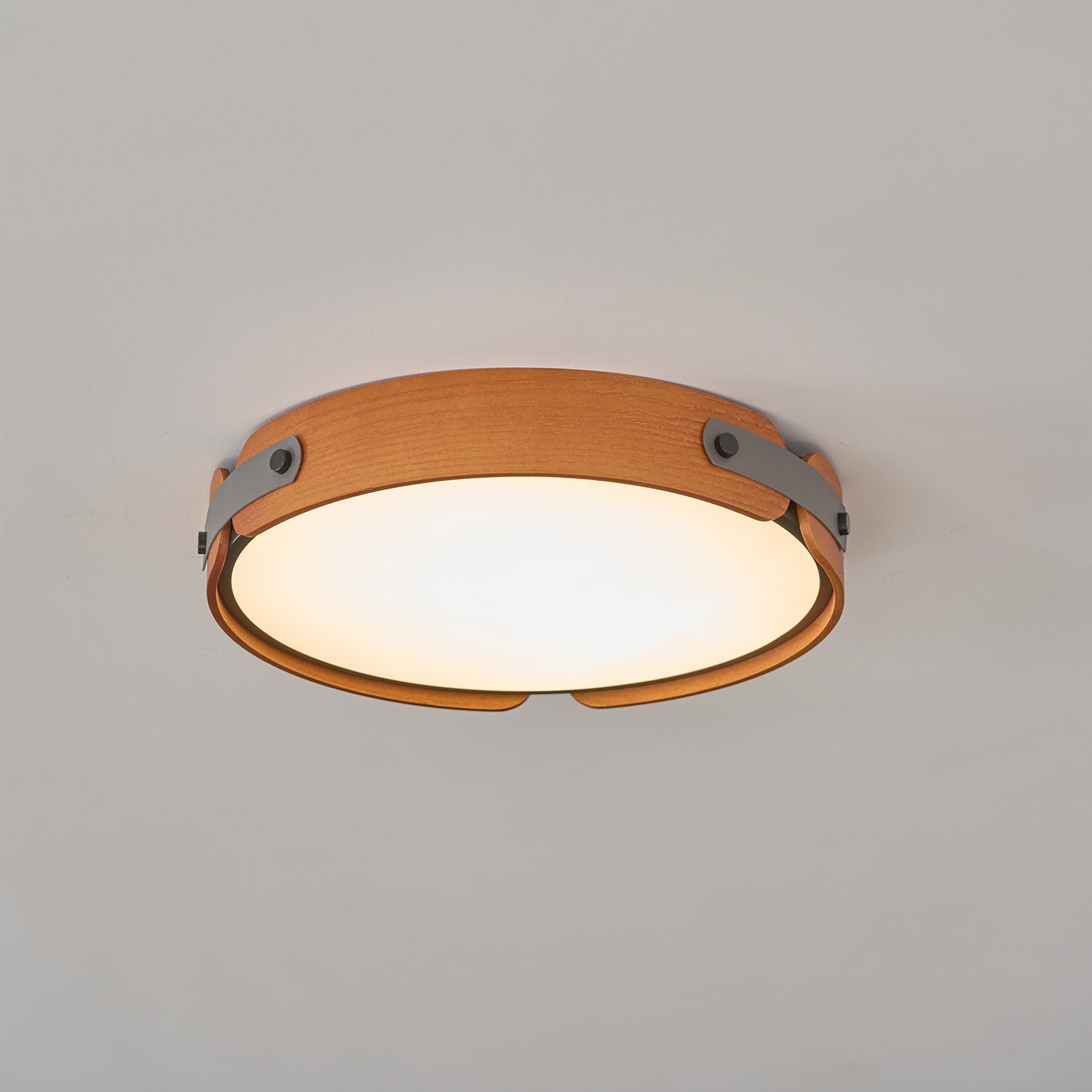 Renlenor Ceiling Light