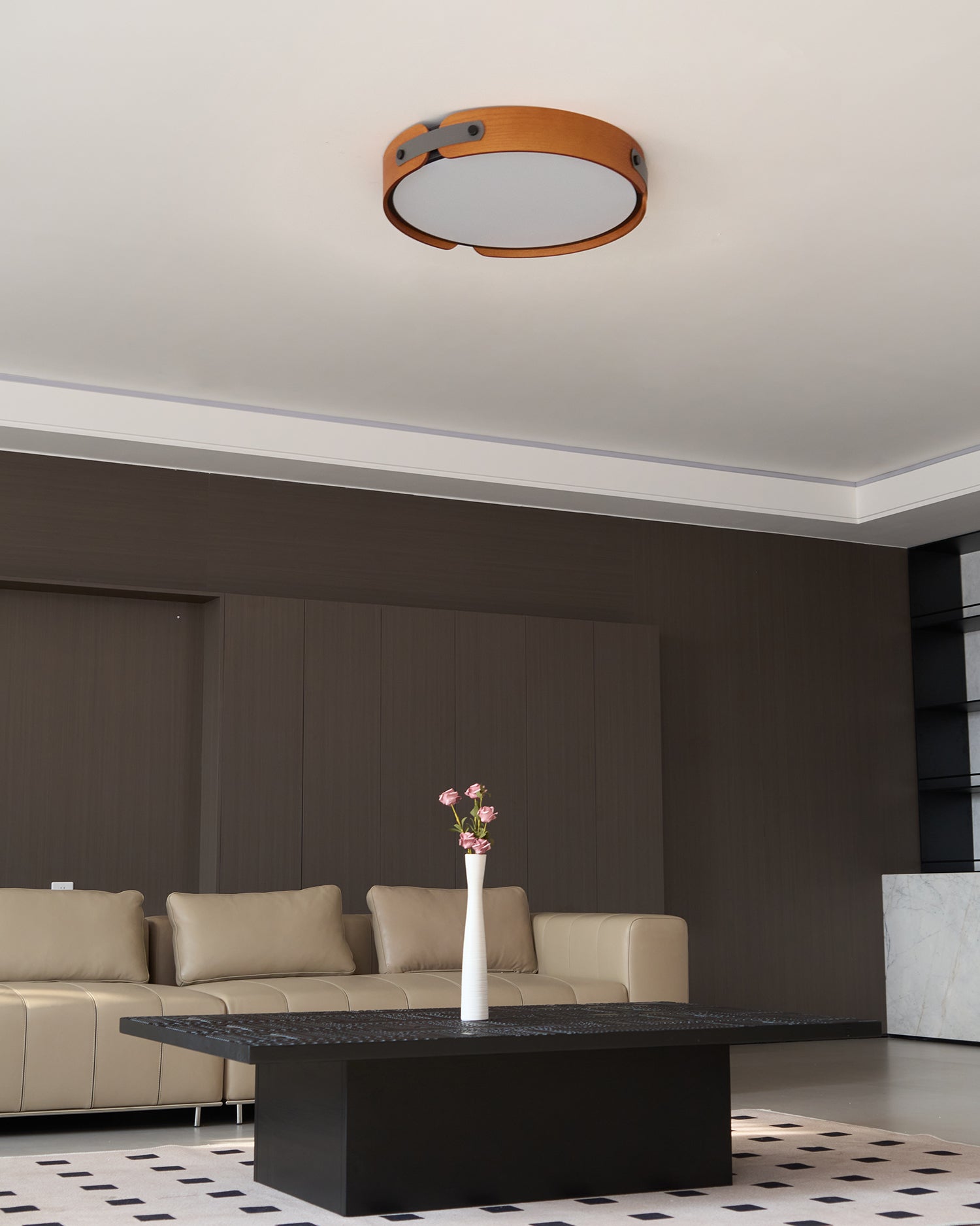Renlenor Ceiling Light
