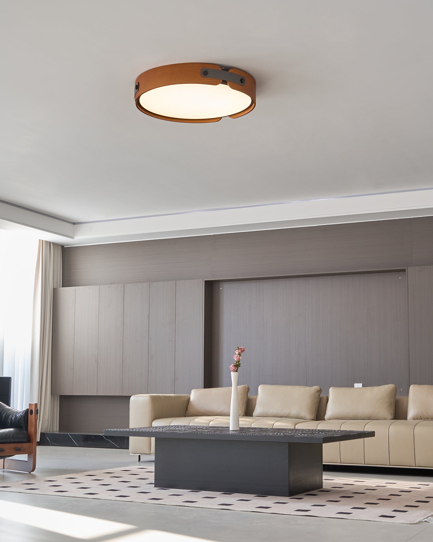 Renlenor Ceiling Light