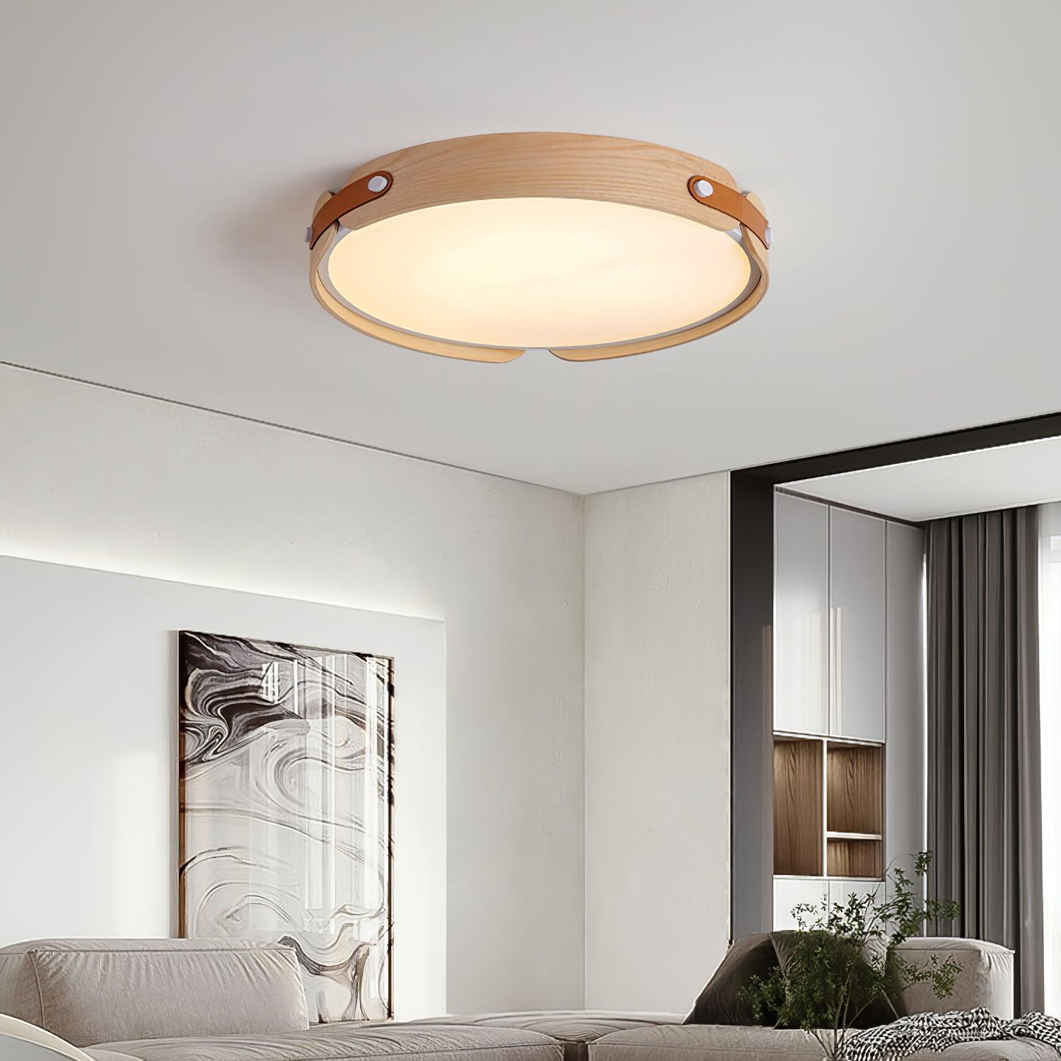 Renlenor Ceiling Light