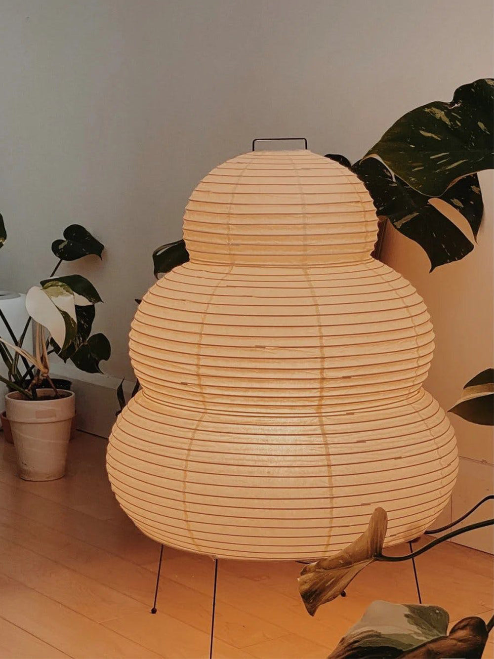 Torsonus Table Lamp