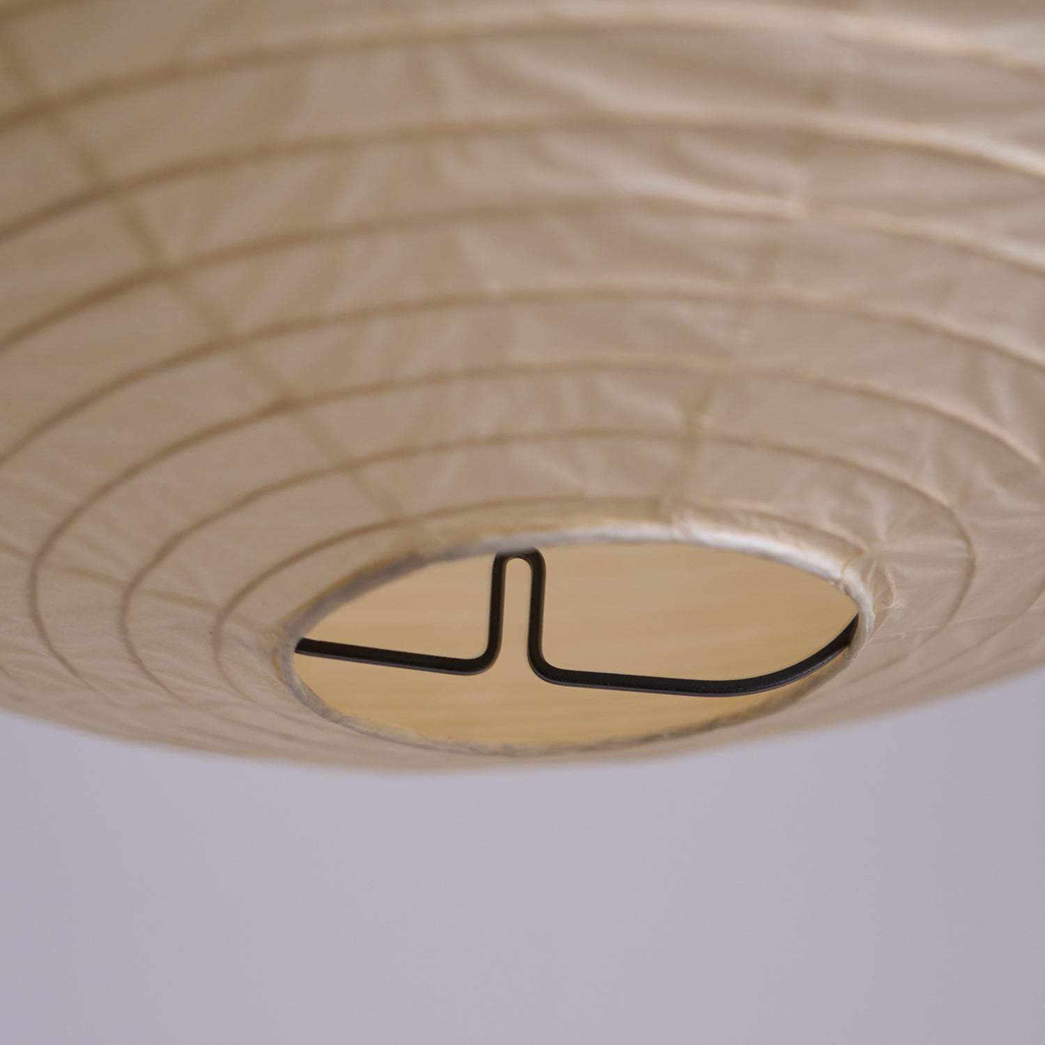 Lumdenton Globe Pendant Light