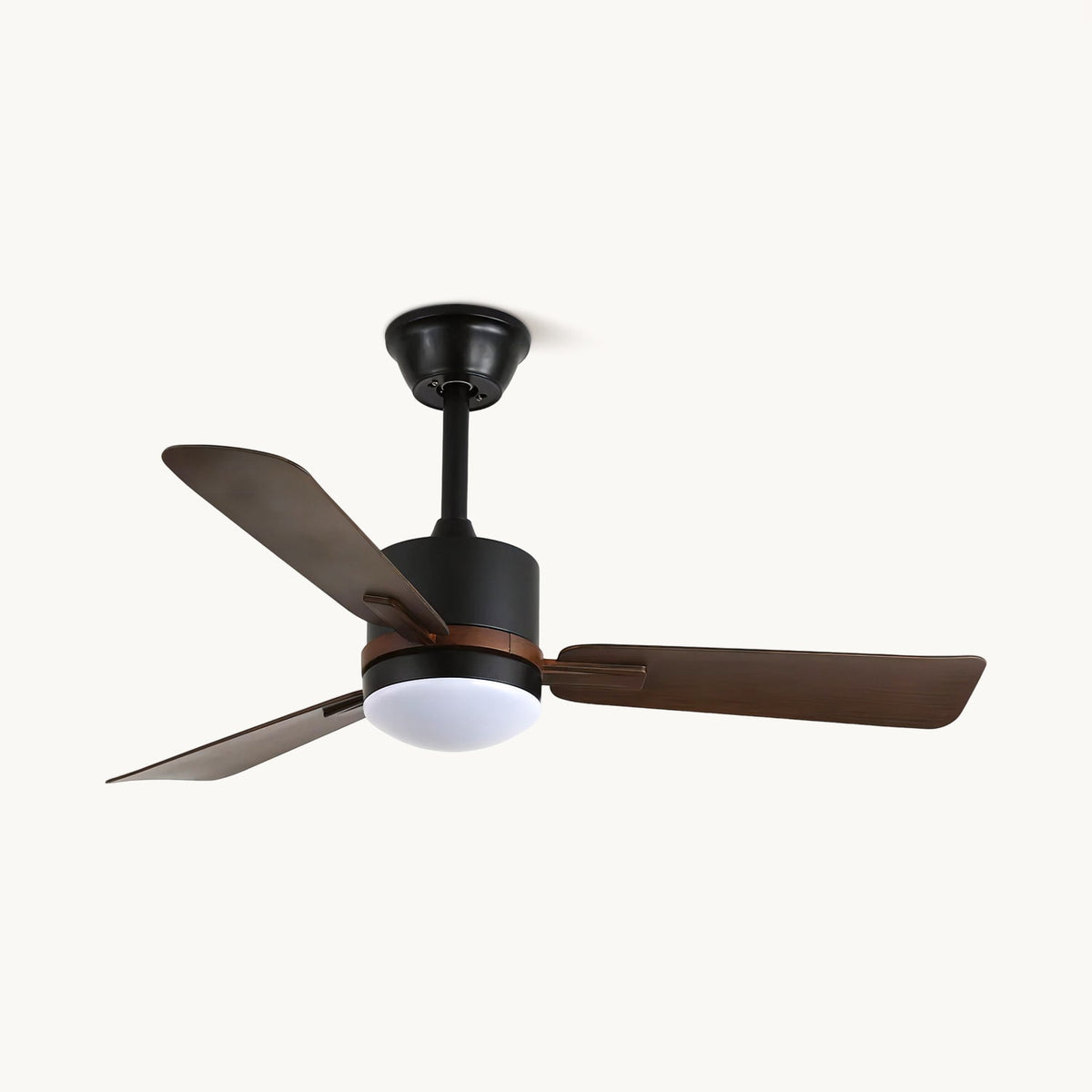 Alkafy Ceiling Fan Light