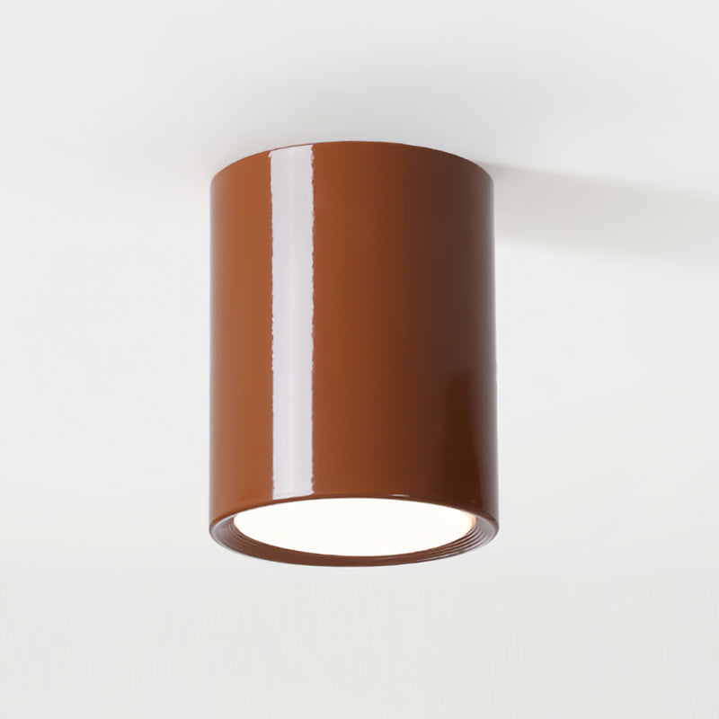Delri Minimalist Ceiling Light