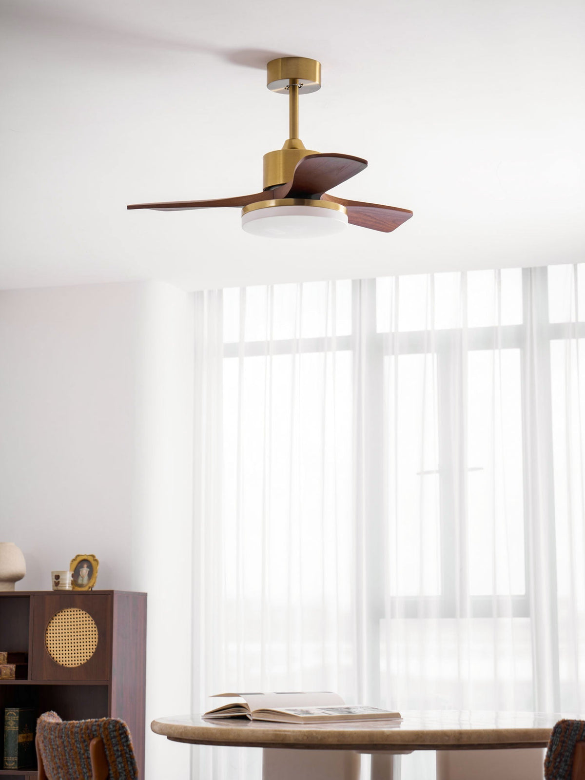 Virova Ceiling Fan Light