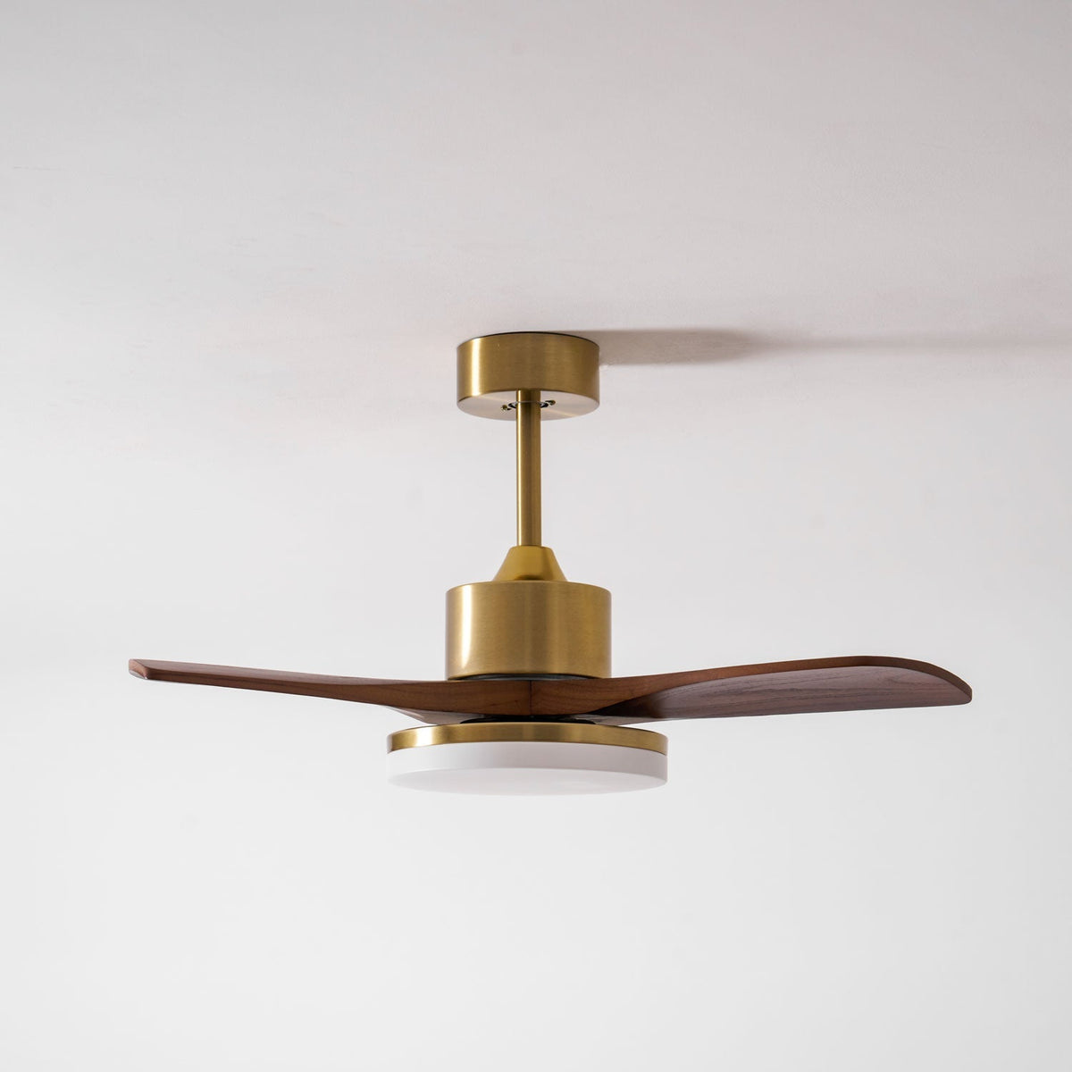 Virova Ceiling Fan Light
