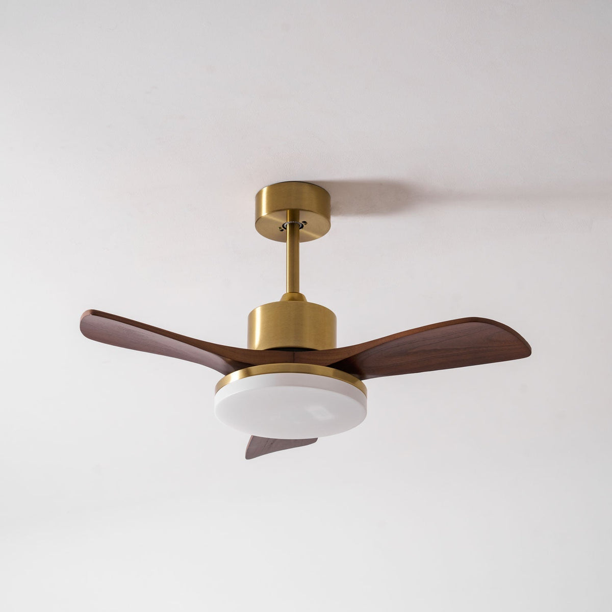 Virova Ceiling Fan Light