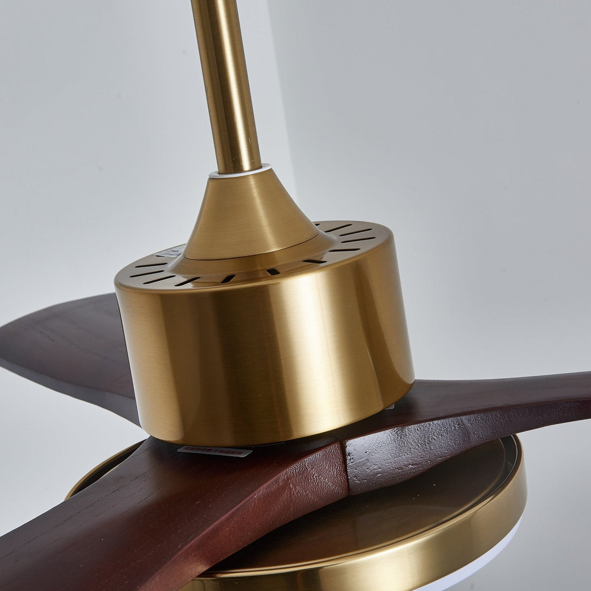 Virova Ceiling Fan Light