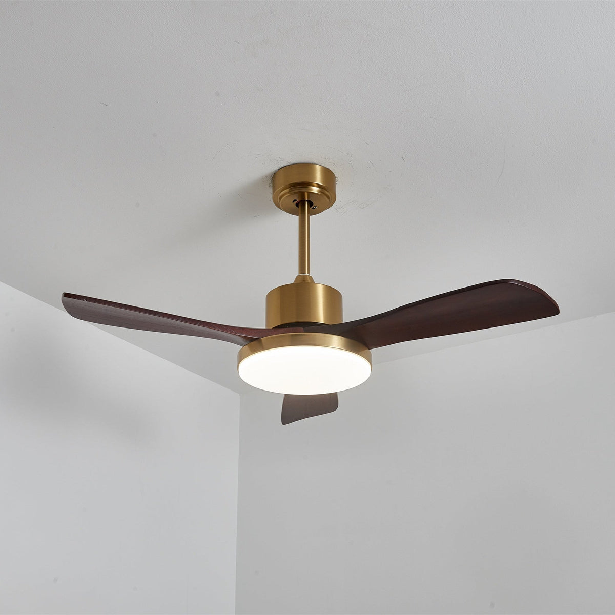 Virova Ceiling Fan Light