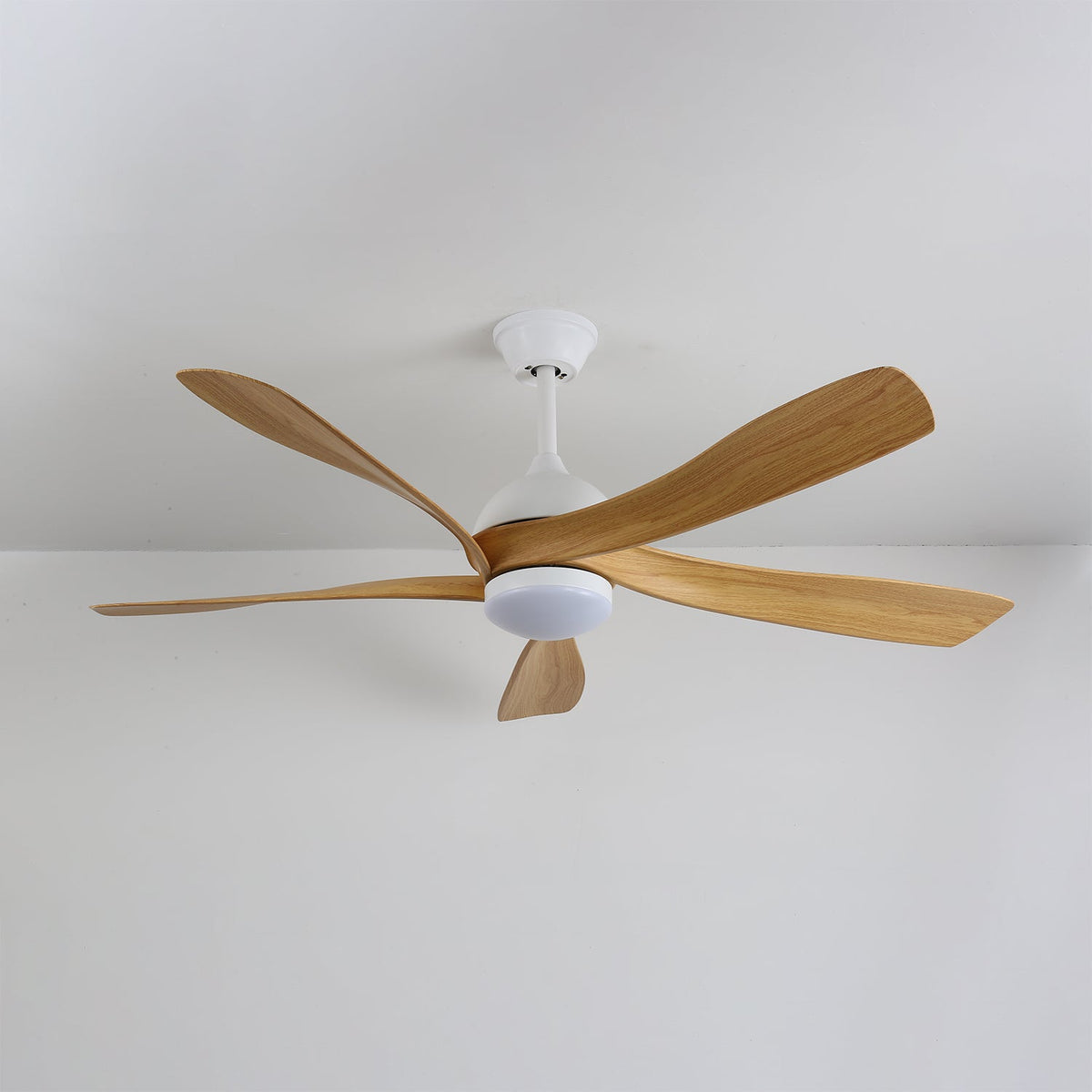 Axer Ceiling Fan Light