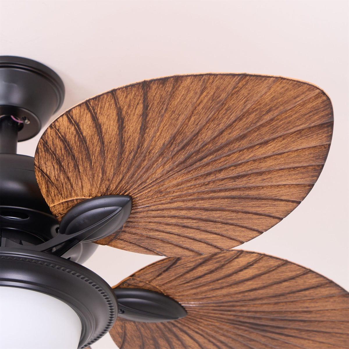 Jorlyn Ceiling Fan Light