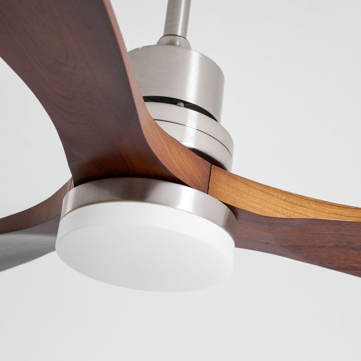 Camey Ceiling Fan Light