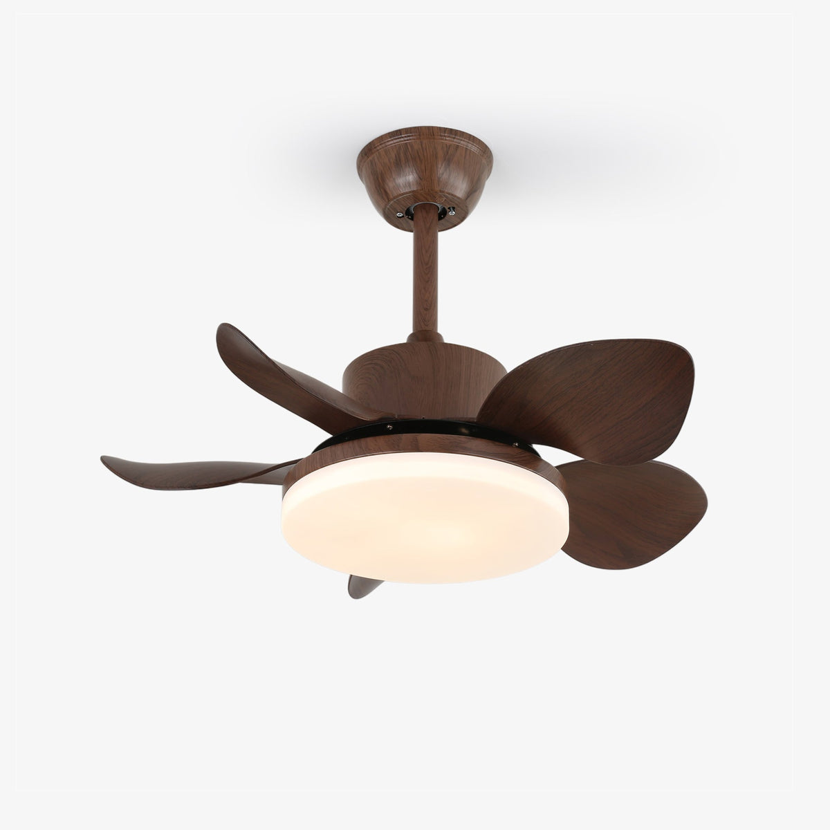 Evone Ceiling Fan Light