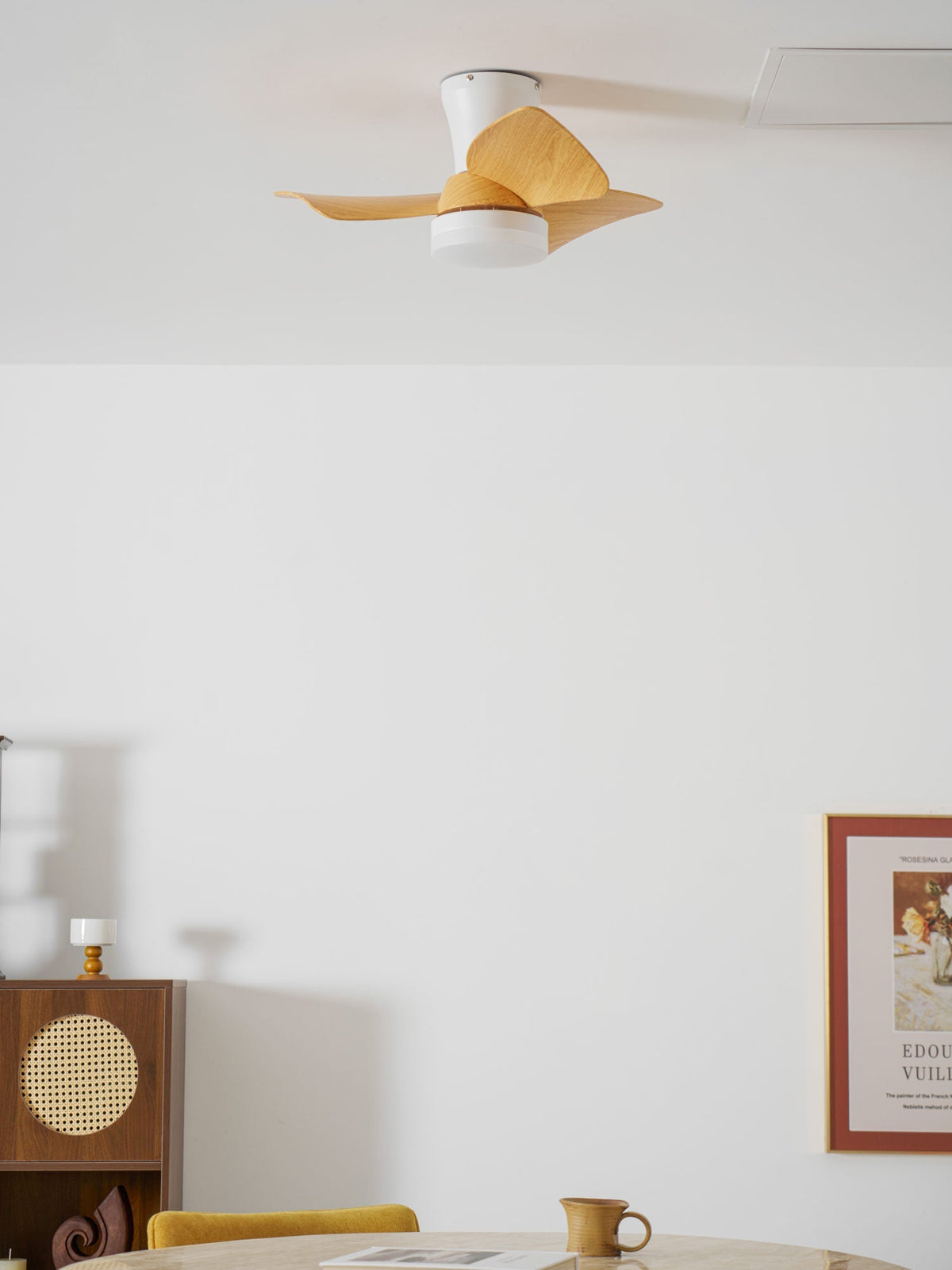 Toralay Ceiling Fan Light
