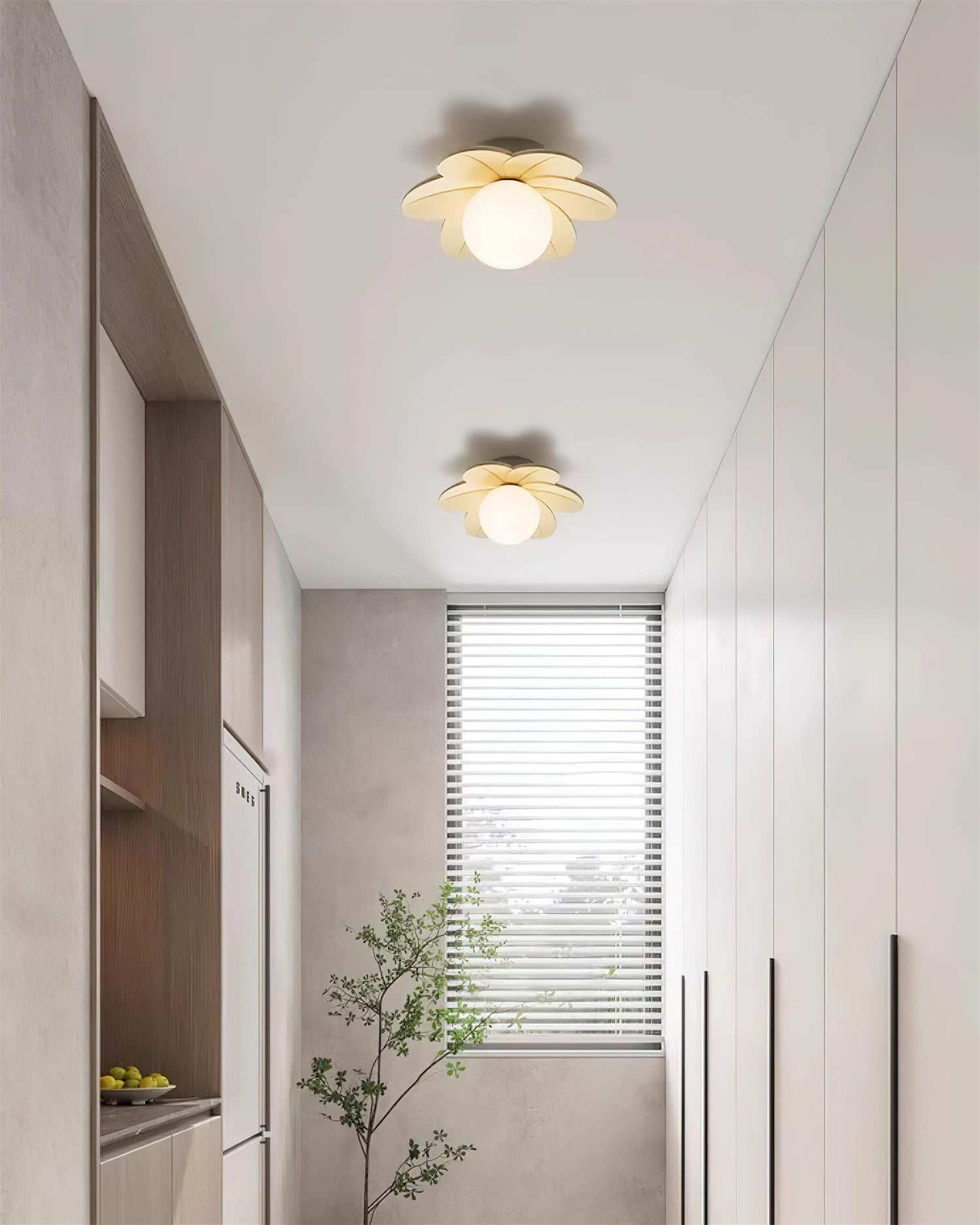 Casna Ceiling Light
