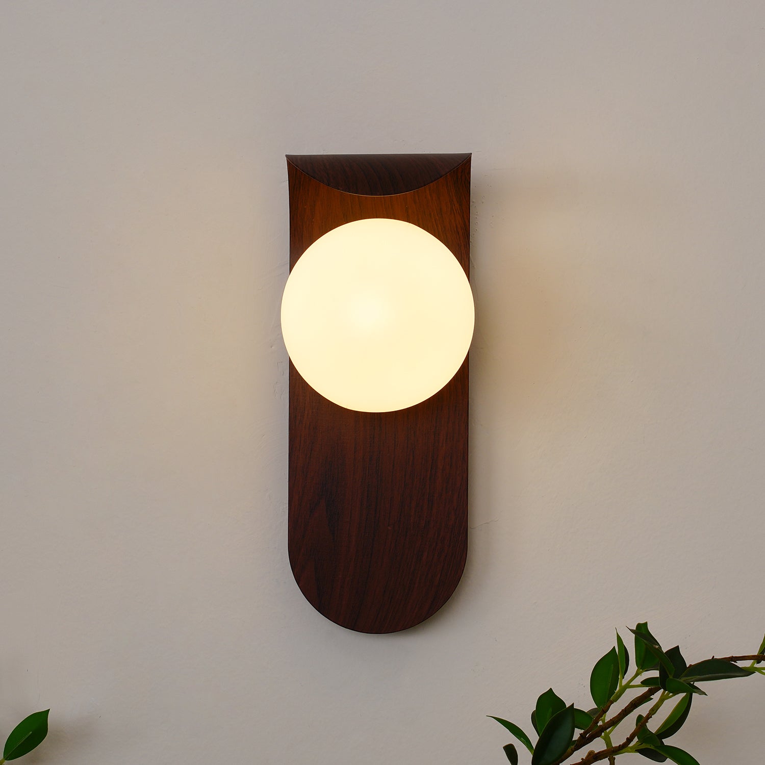 Axas Wall Light