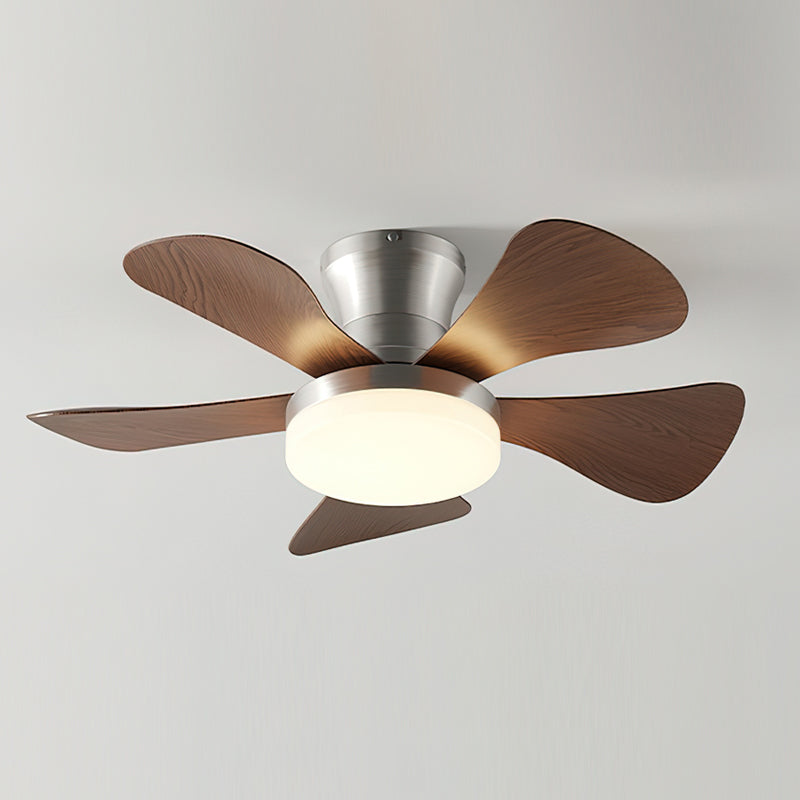 Lanon Ceiling Fan Light