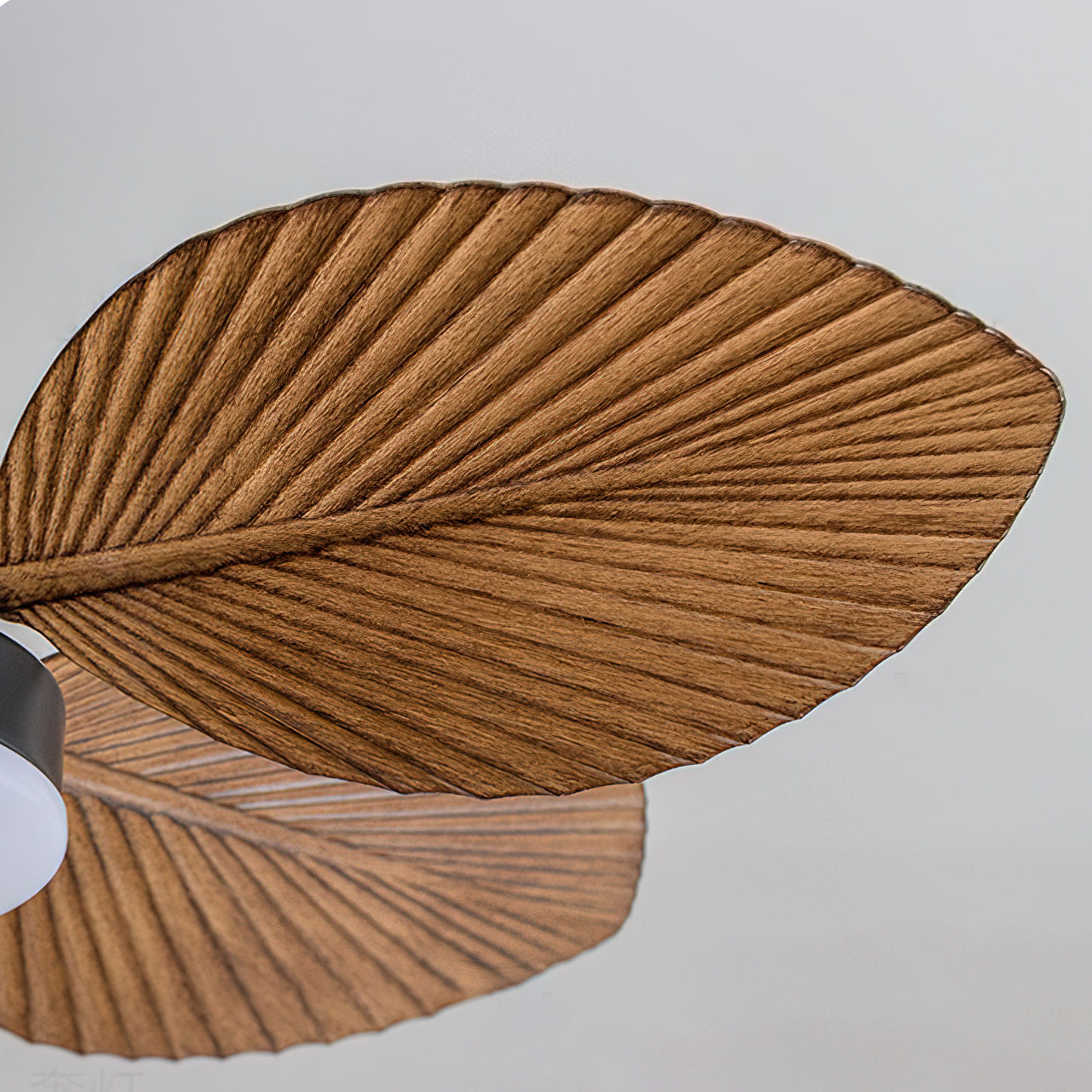 Armara Ceiling Fan Light