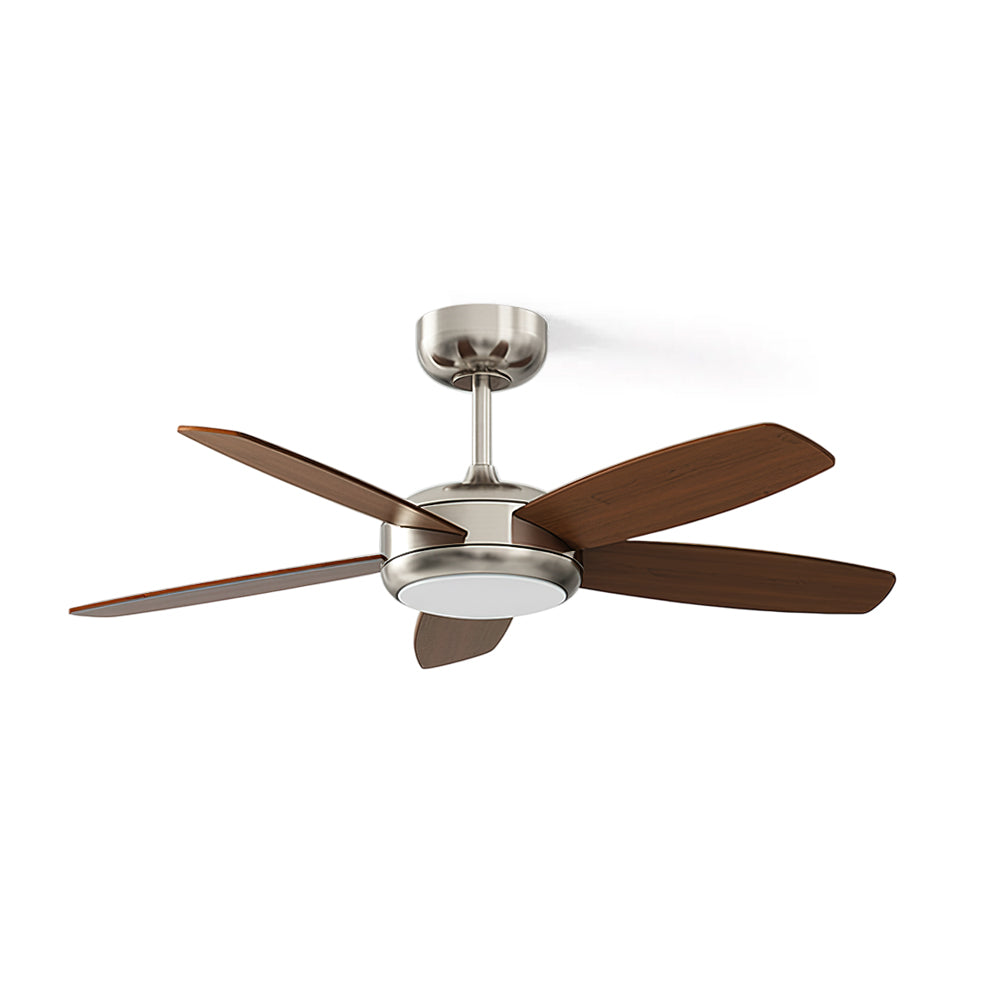Rivel Ceiling Fan Light