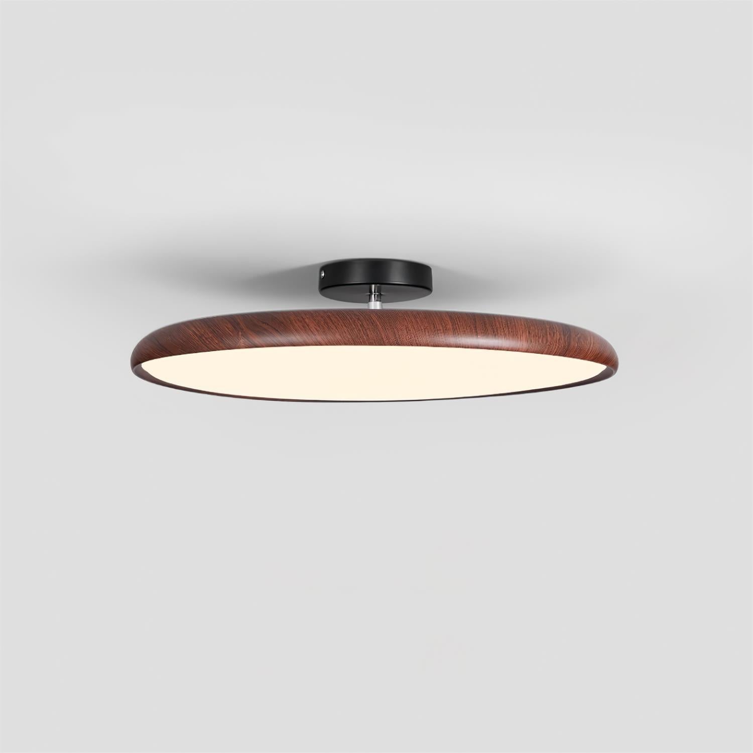 Talime Ceiling Light