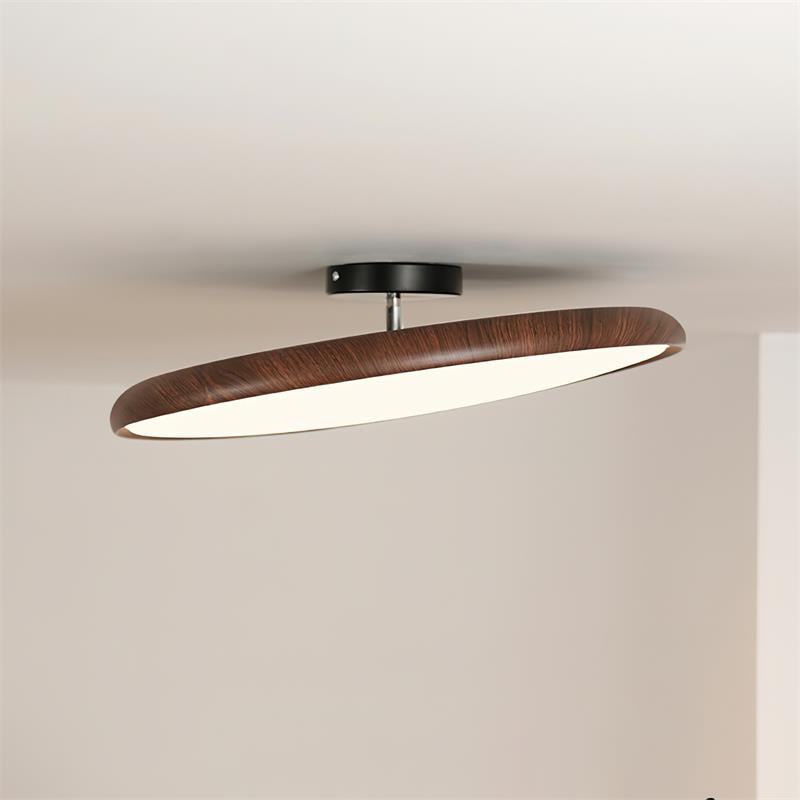 Talime Ceiling Light