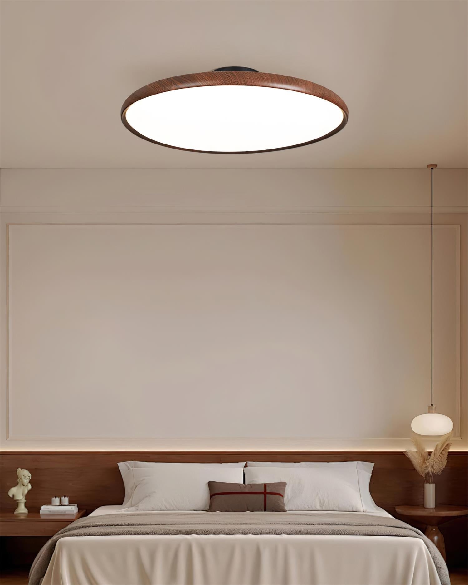 Talime Ceiling Light