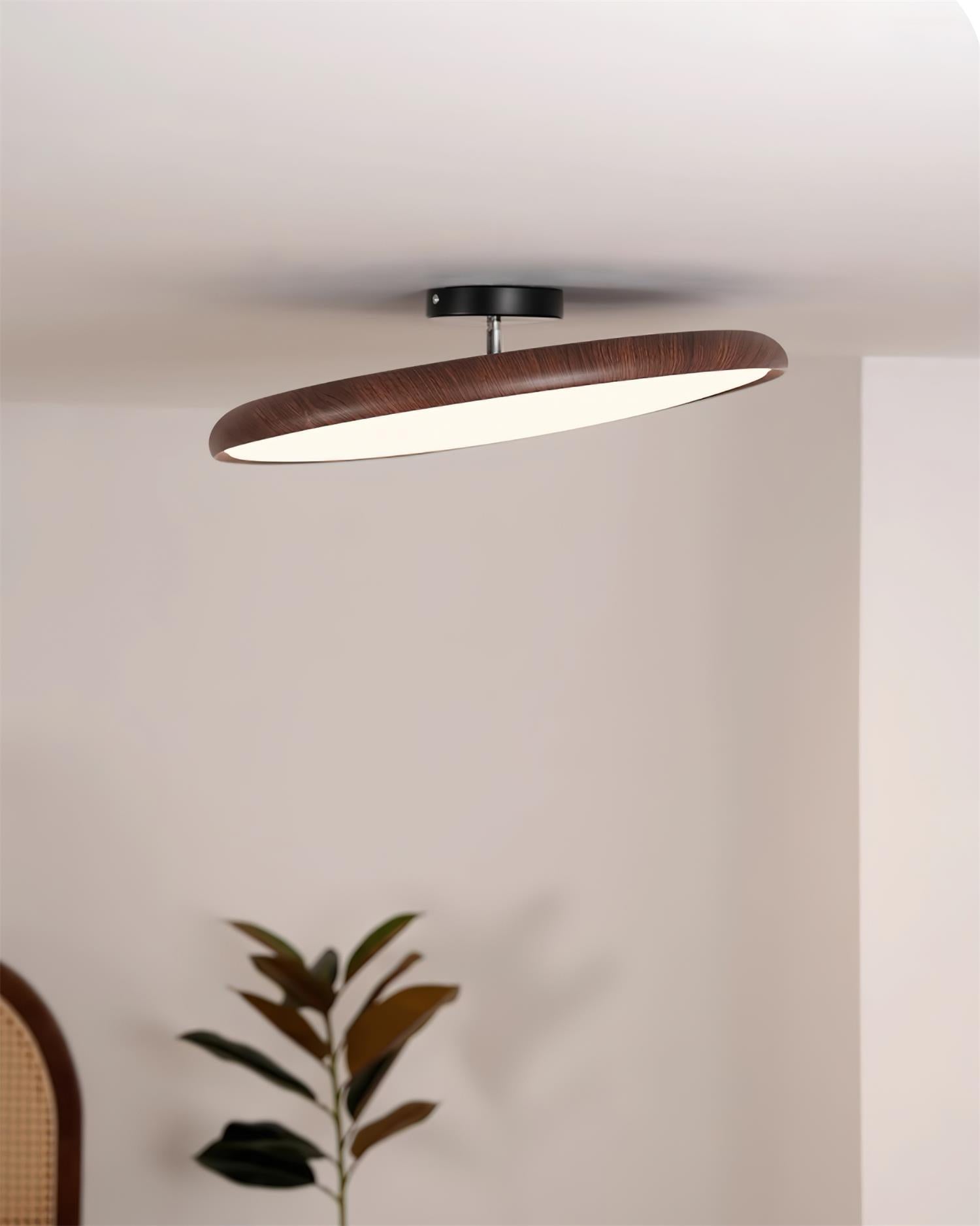 Talime Ceiling Light