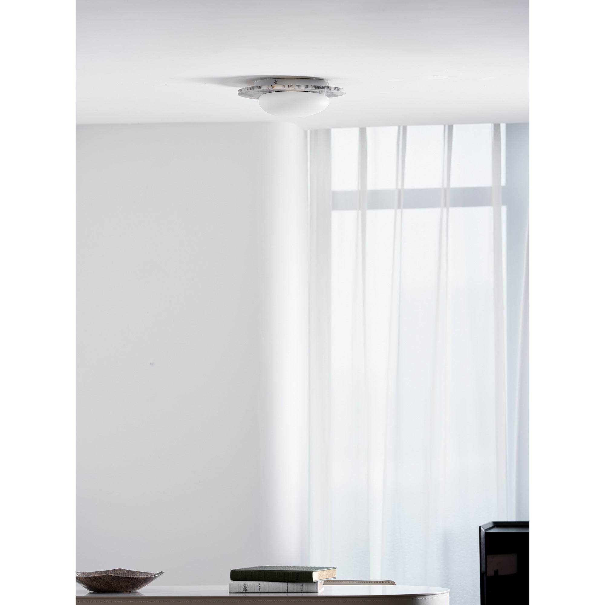 Covemo Modern Ceiling Light