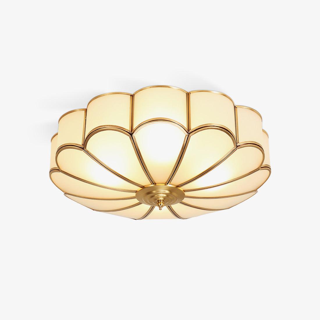 Fomensa Ceiling Light