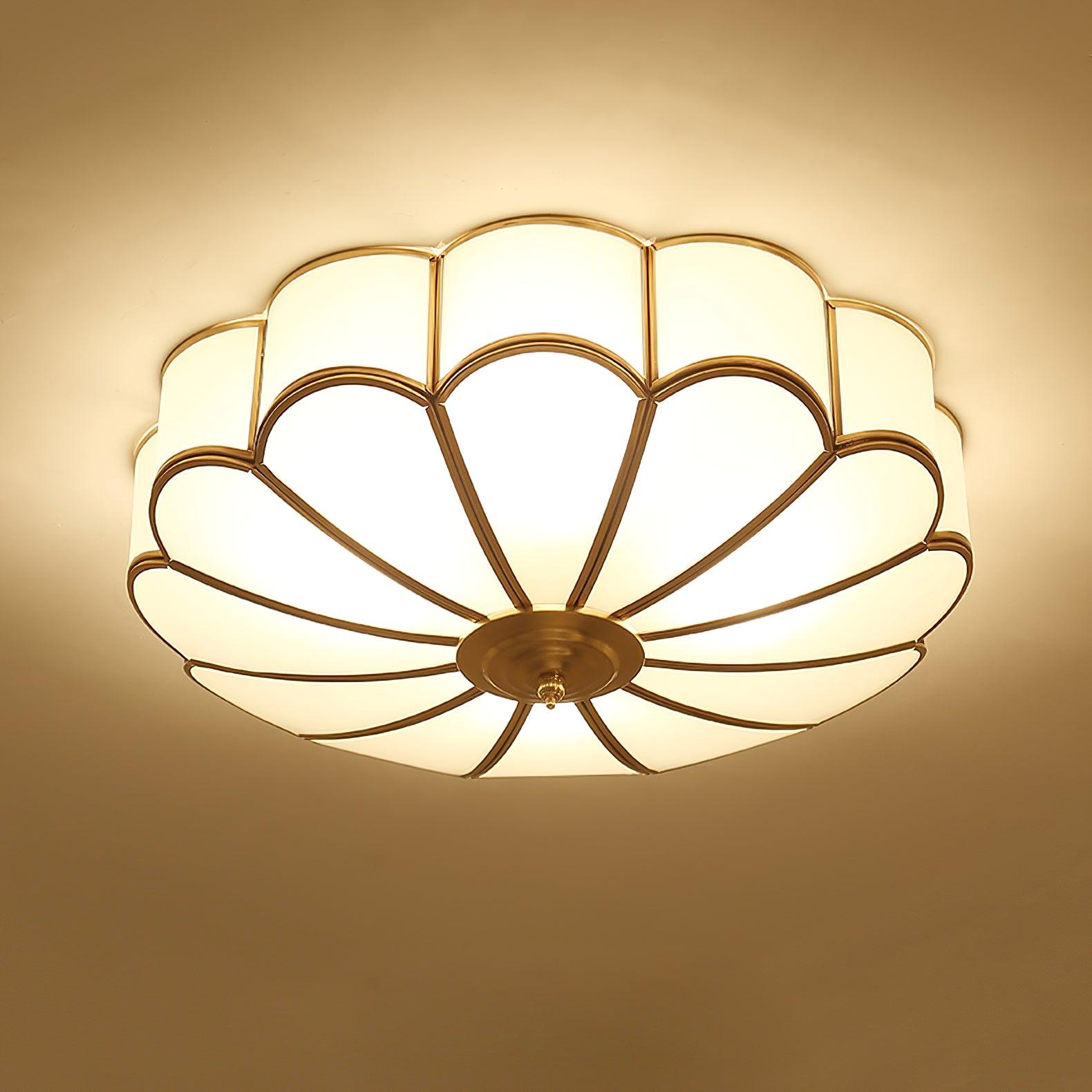 Fomensa Ceiling Light